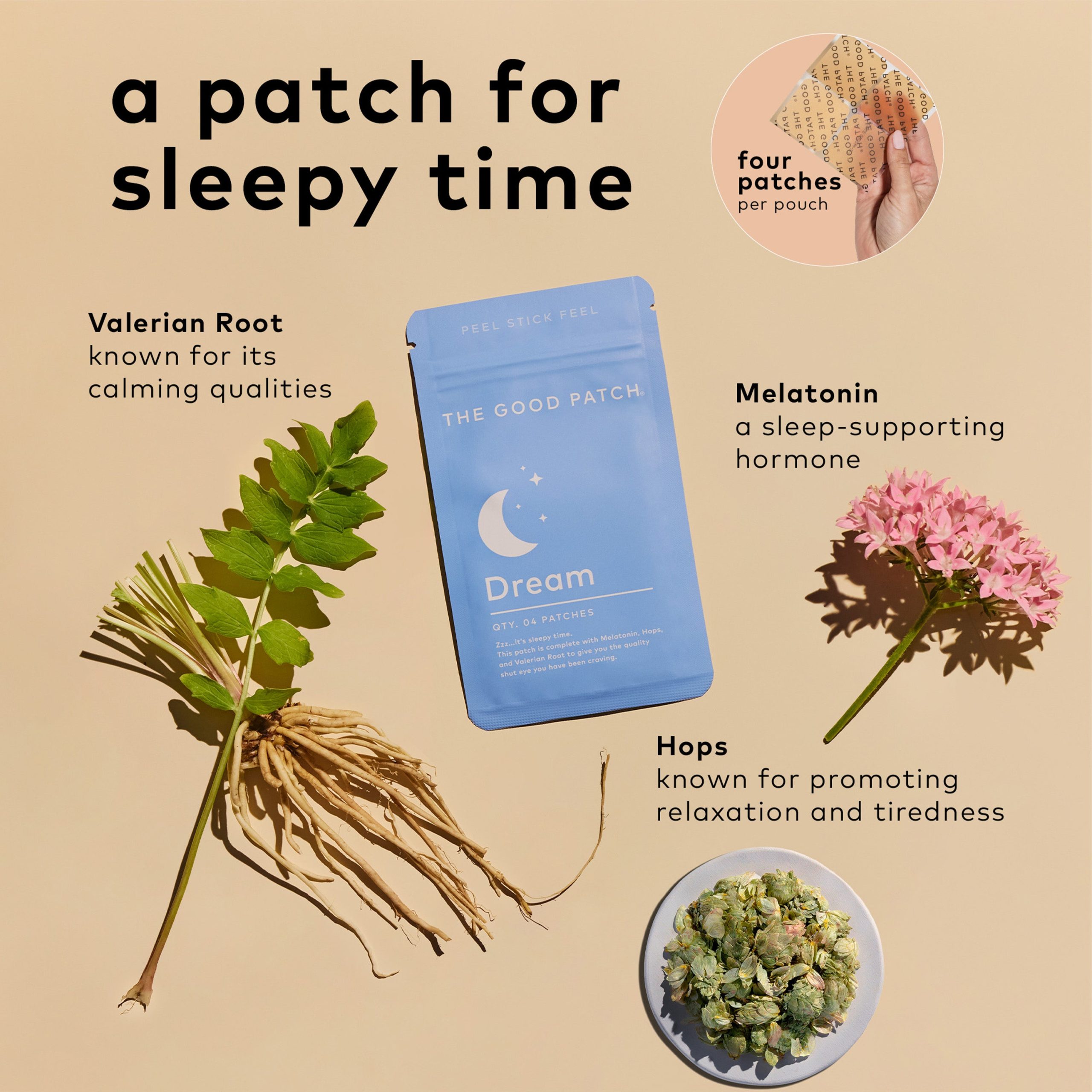 03_TGP_Dream_Ingredients.jpg