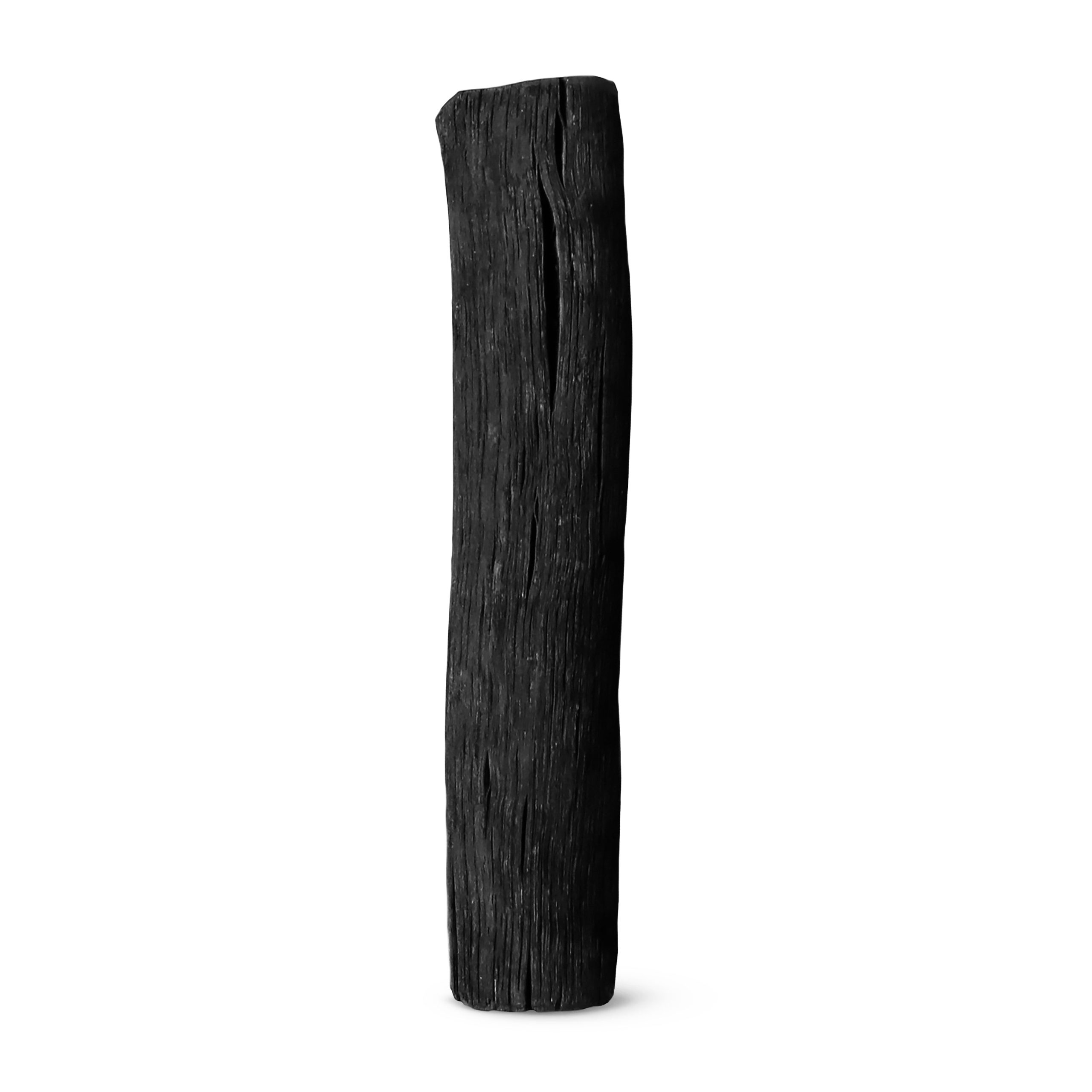 1_Blackandblum_activecharcoalwaterfilterx1_front.jpg