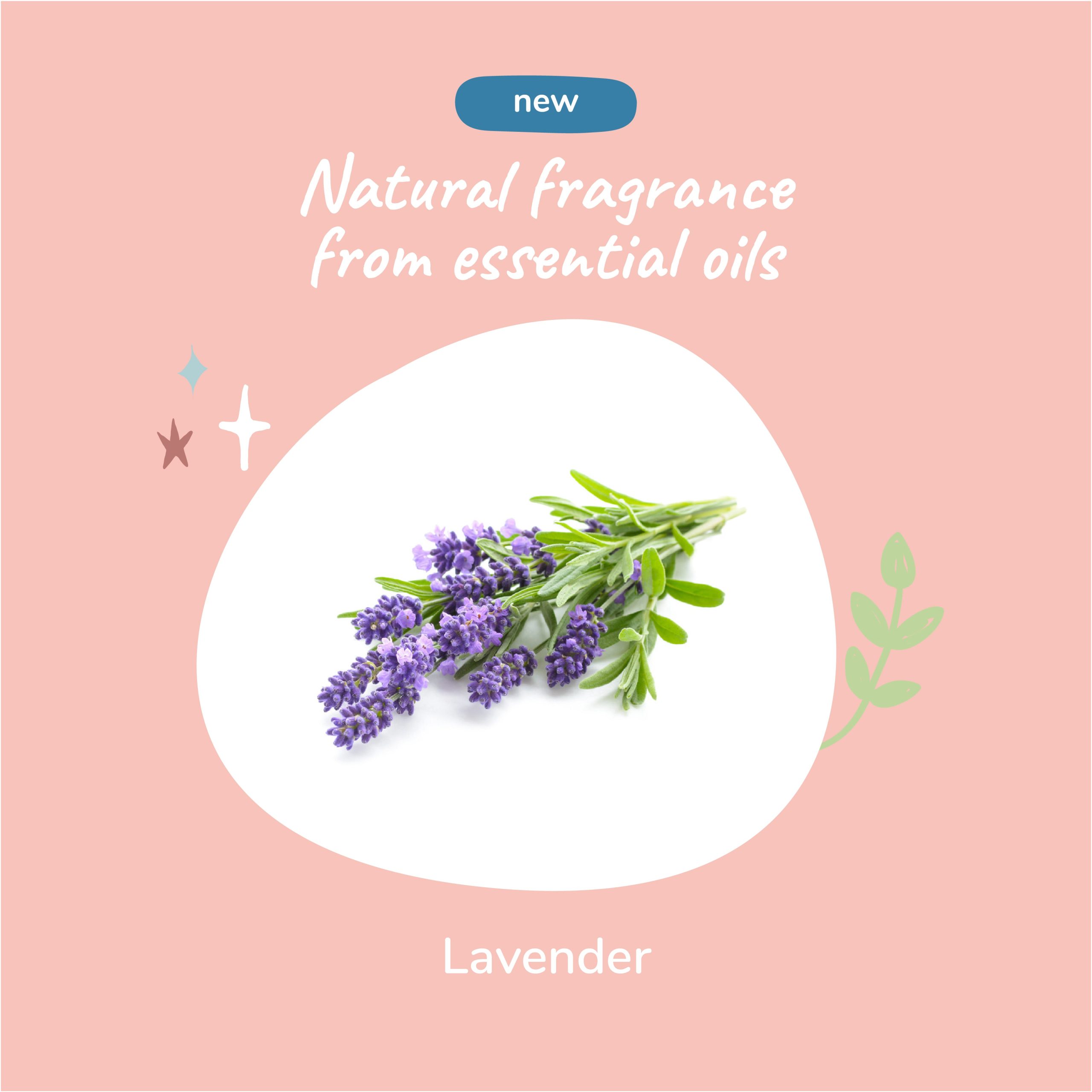 4.IngredientHighLevelImageCoatSpray_FoamLavender.jpg