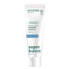 super leaves Fluoride-Free Toothpaste - Whitening
