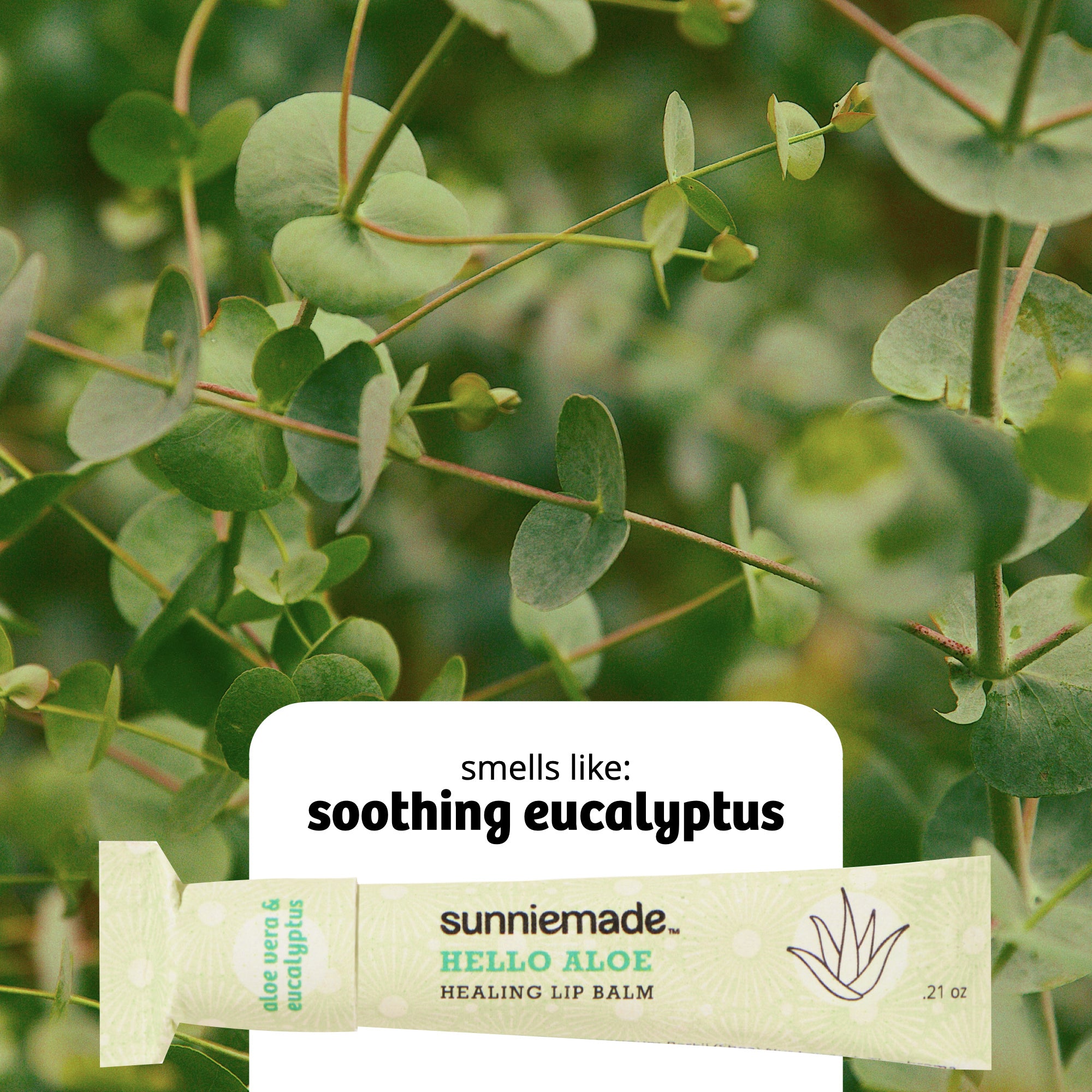 7.HelloAloe_scent.jpg