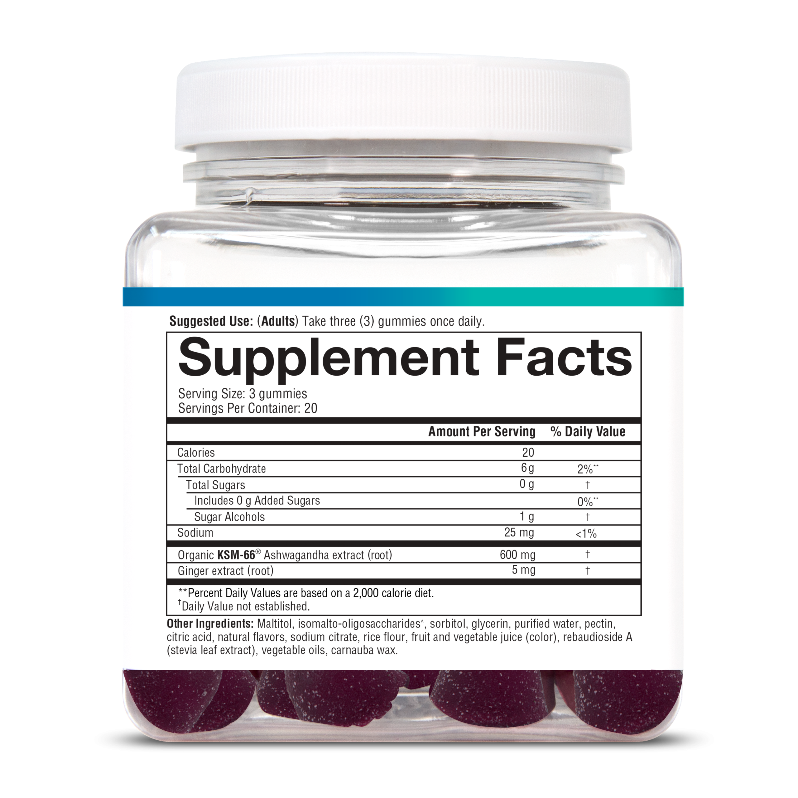 92031_V1_Gums_blueberry_60CT_BTL_US_SF.png