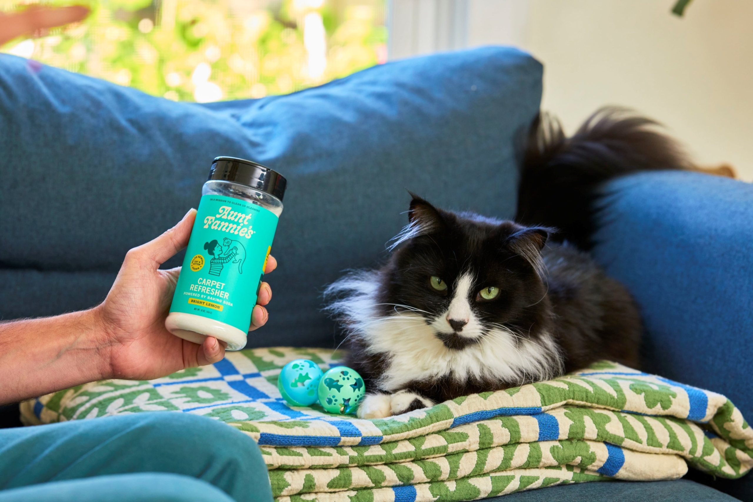 AF_CarpetRefresh_CAT_Lifestyle1.jpg