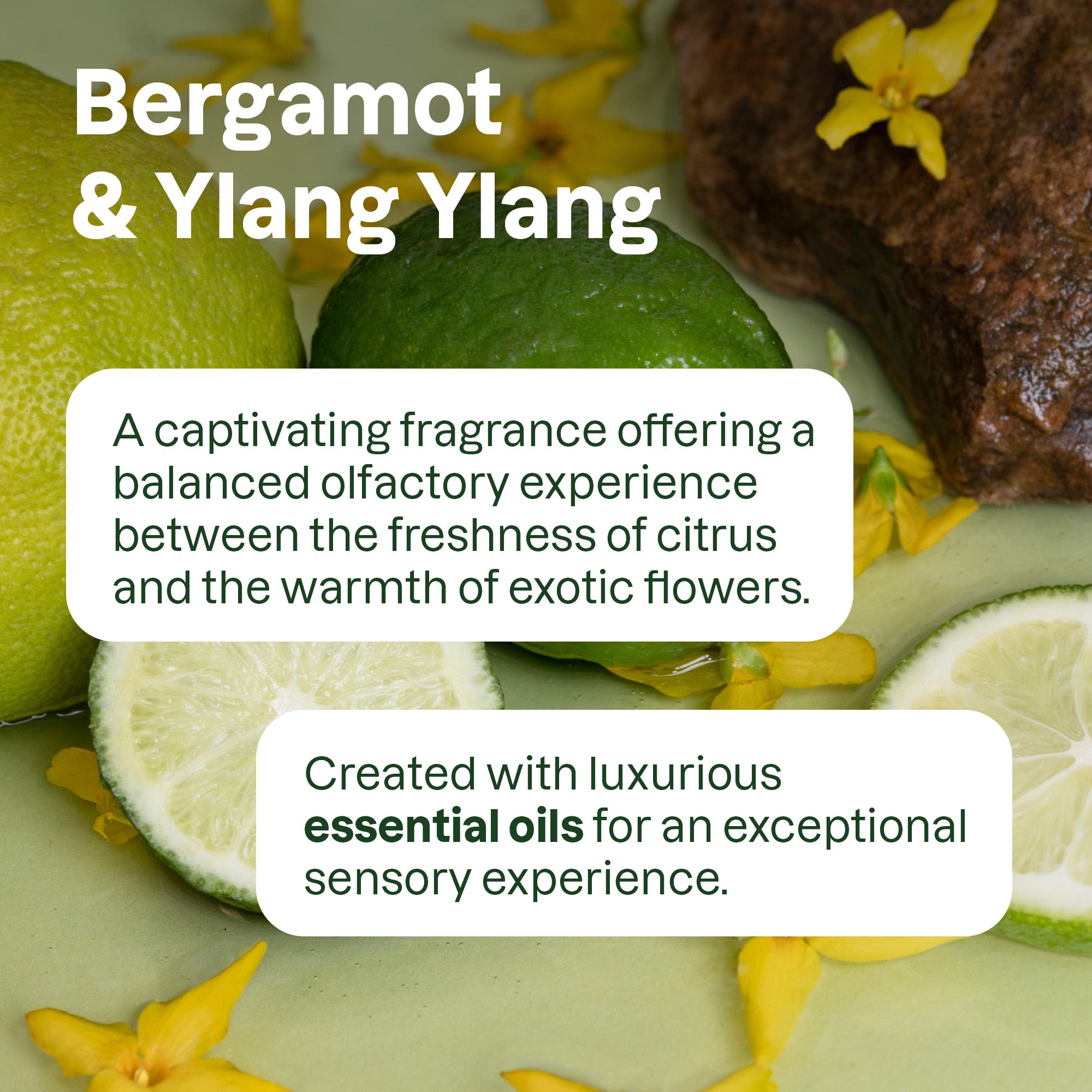 ALU_Fragrance_Peppermint-2.jpg
