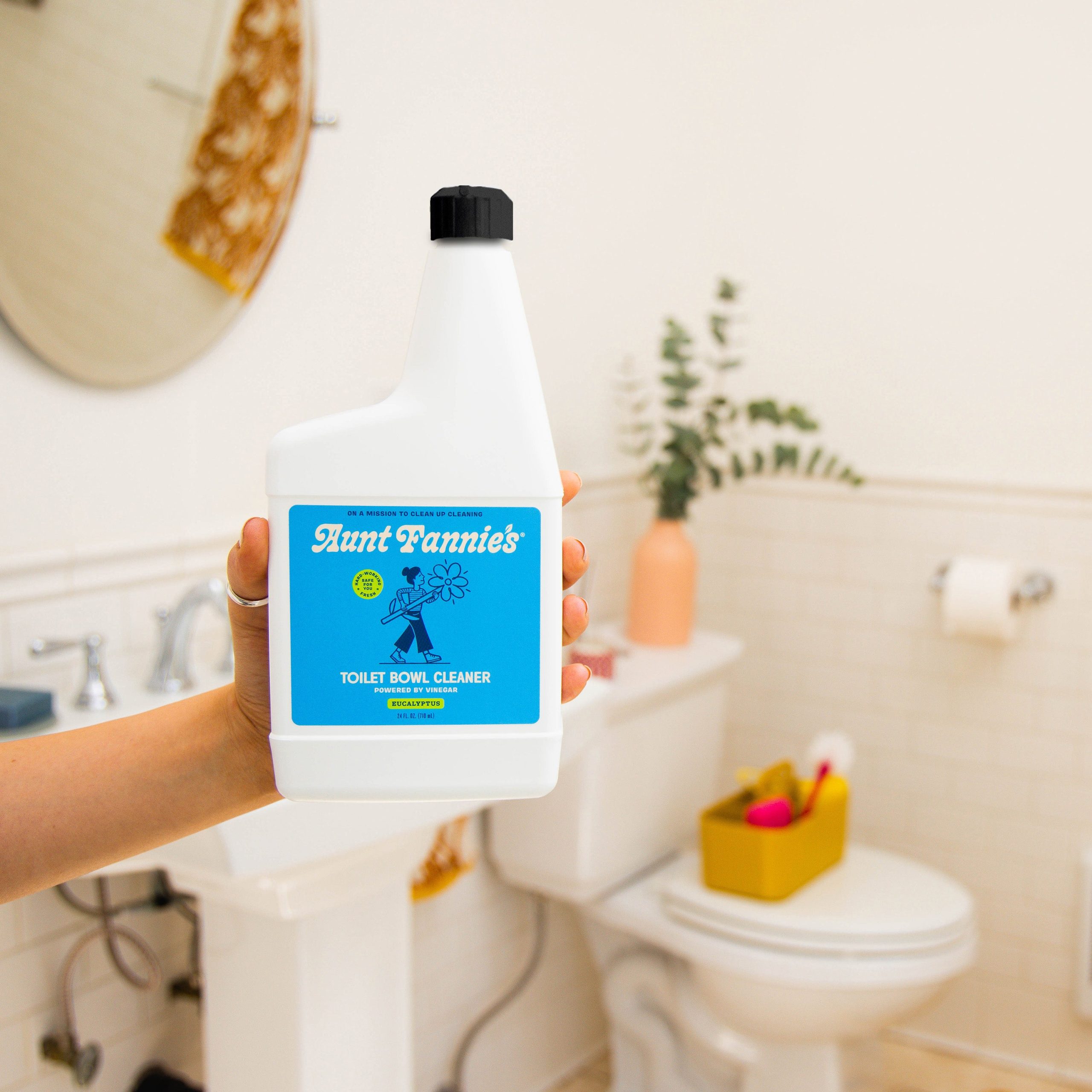 AuntFannie_s_ToiletBowlCleaner_Lifestyle1.jpg