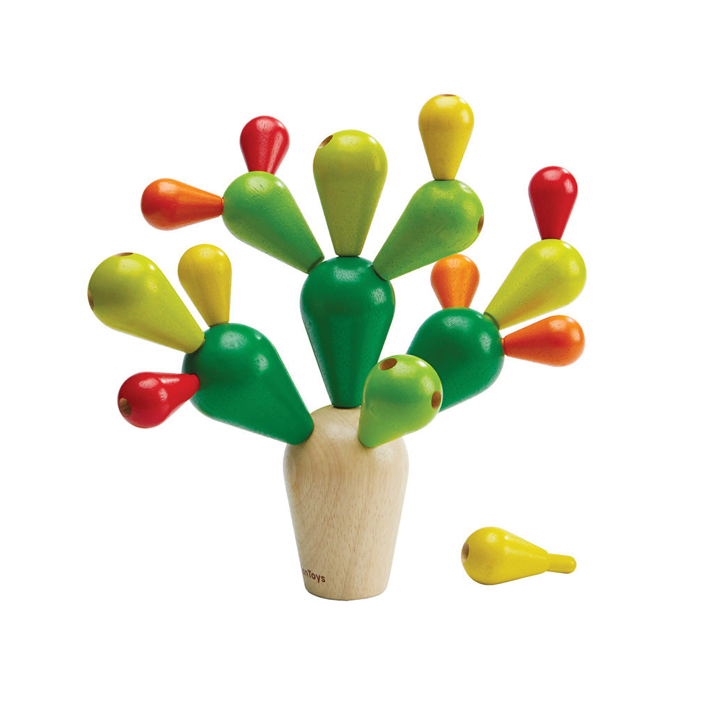 BalancingCactus-4101-Main-sq.jpg