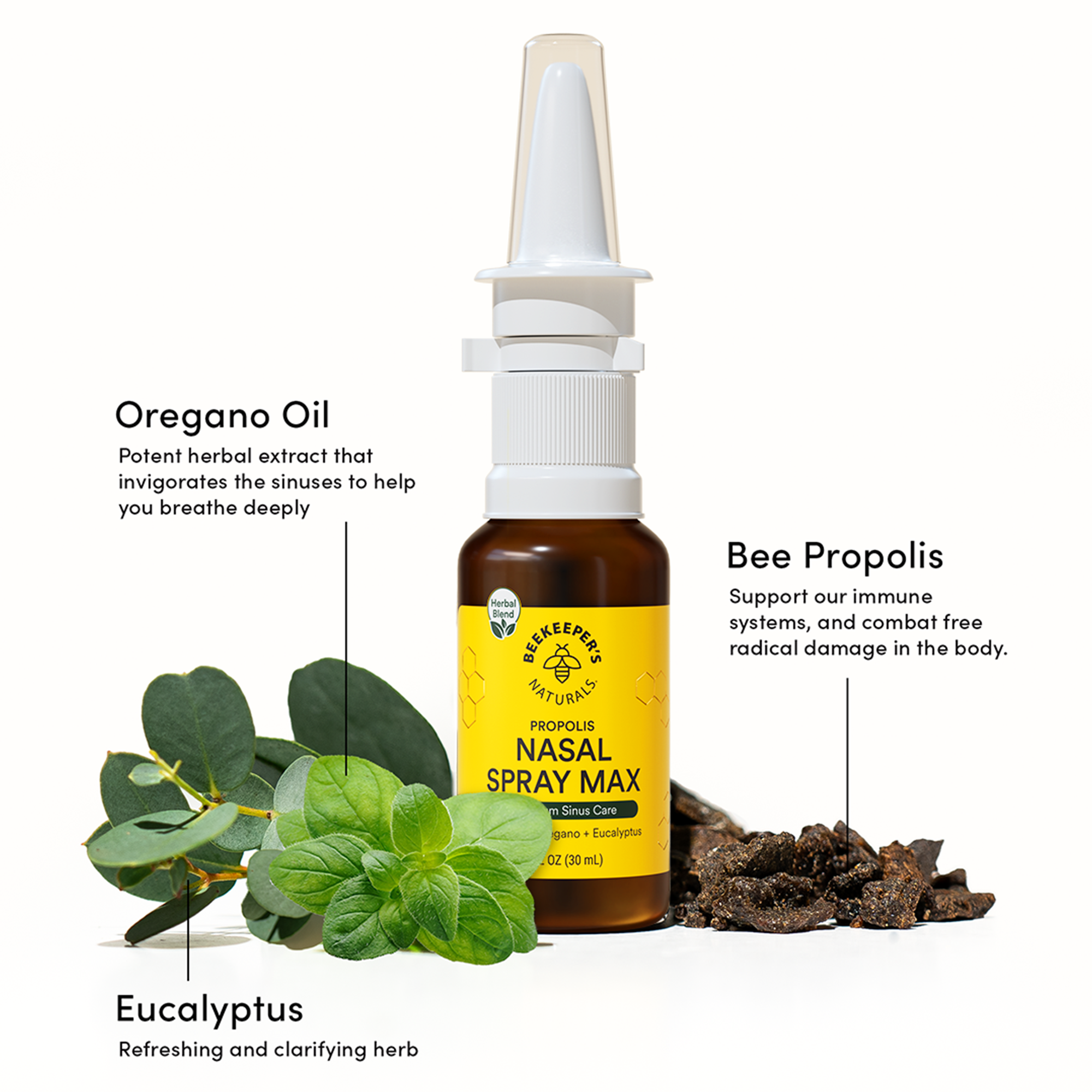 Beekeepersnaturals_NasalSprayMax_Ingredients.png