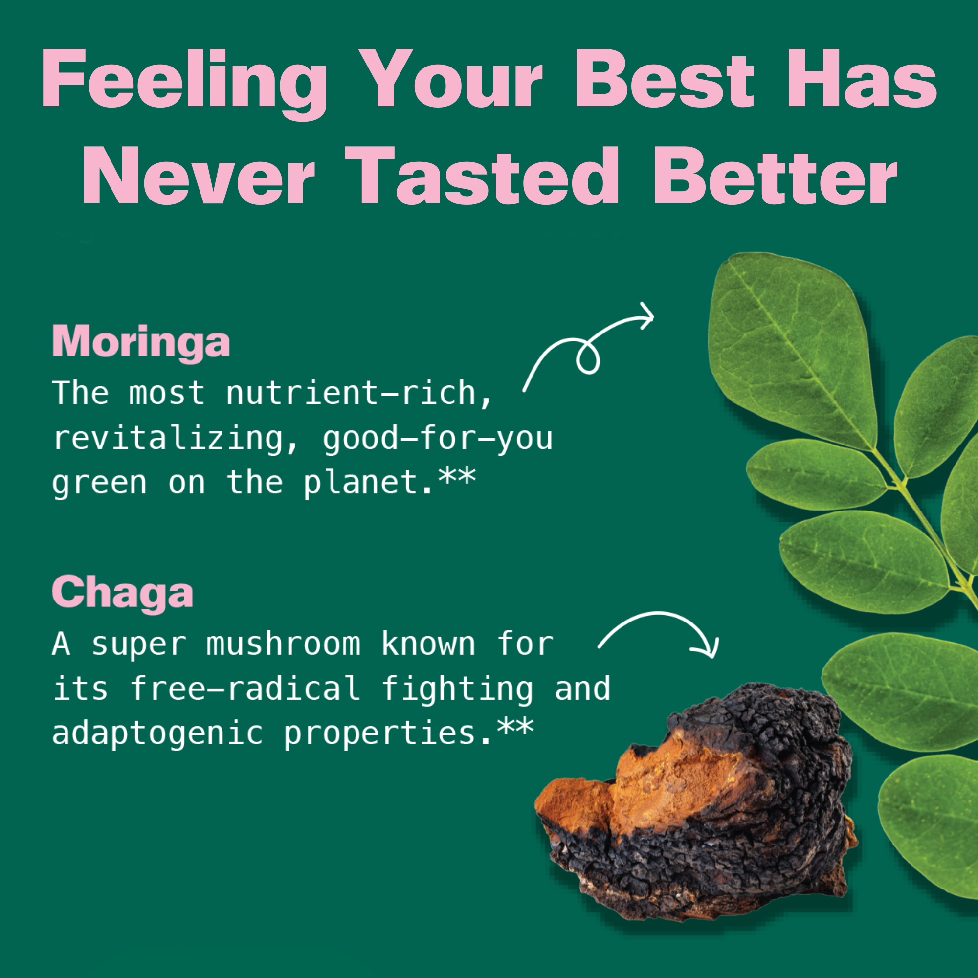 Berry_Chaga_Gummies_Callouts.png