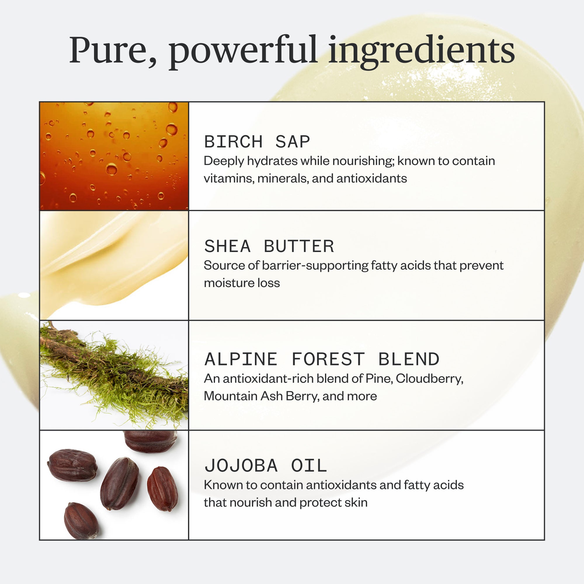 Botanic-Buzz-Hand-Cream-07.jpg