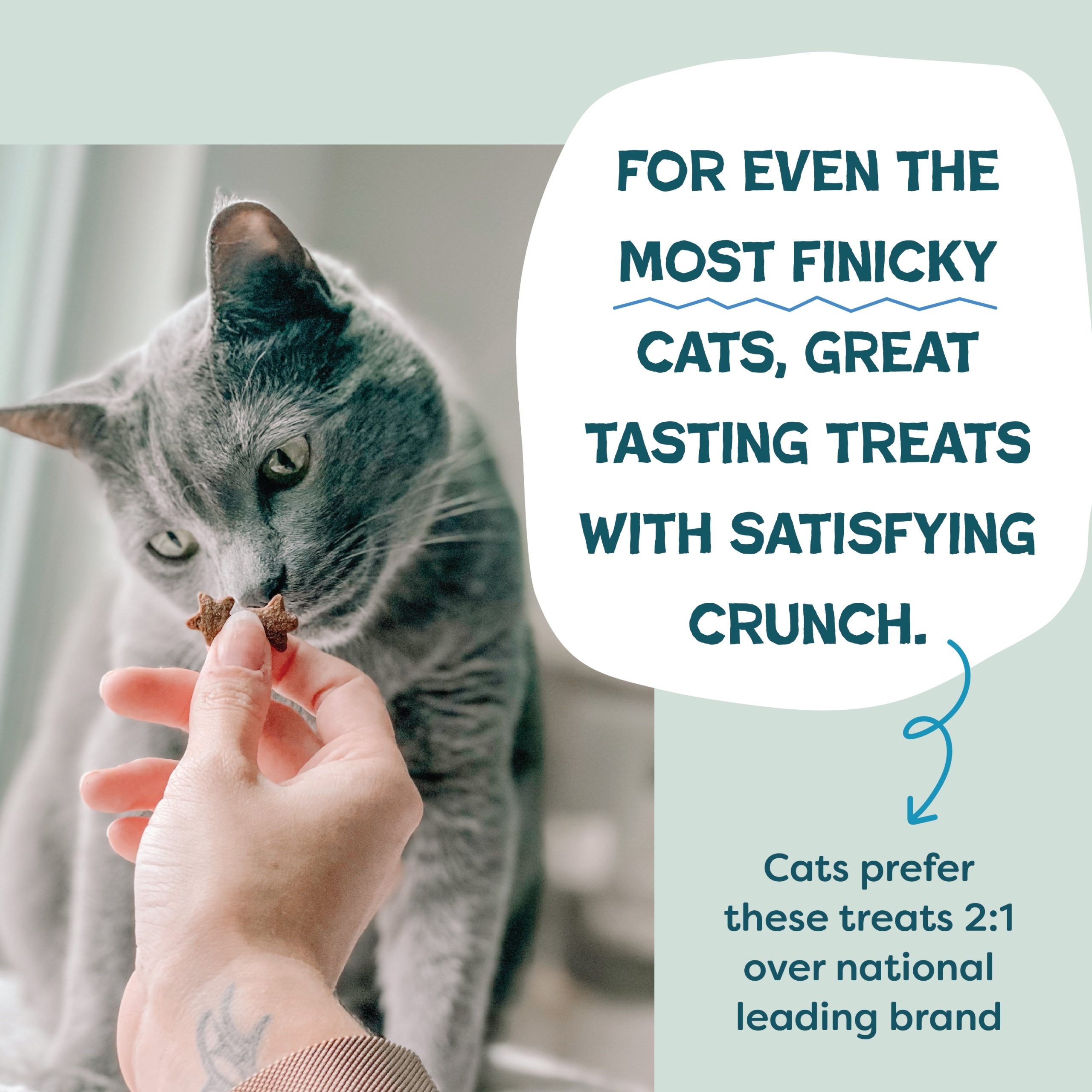 CatnipNChill_Tuna_12oz_3.jpg