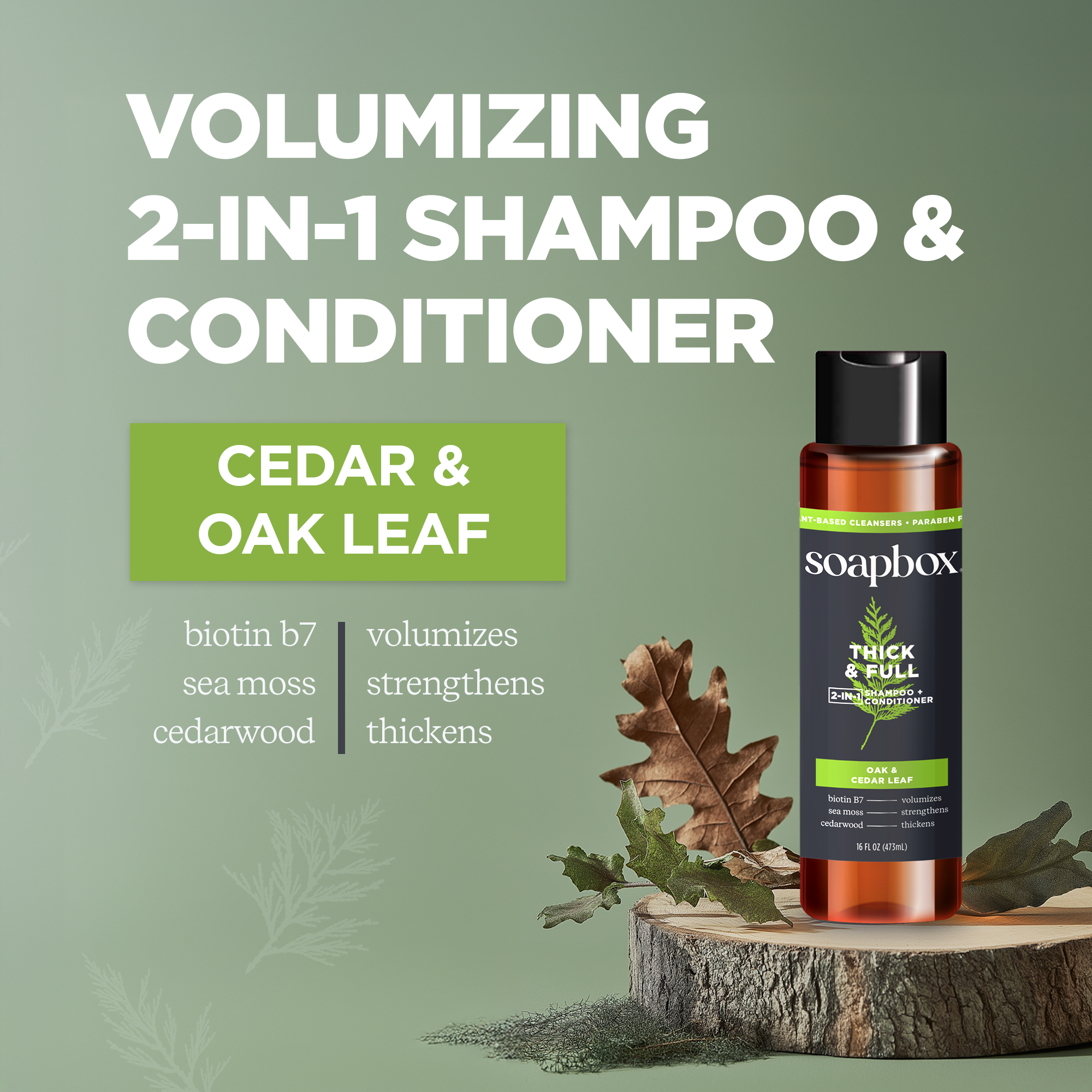 Cedar_Oak-3.png