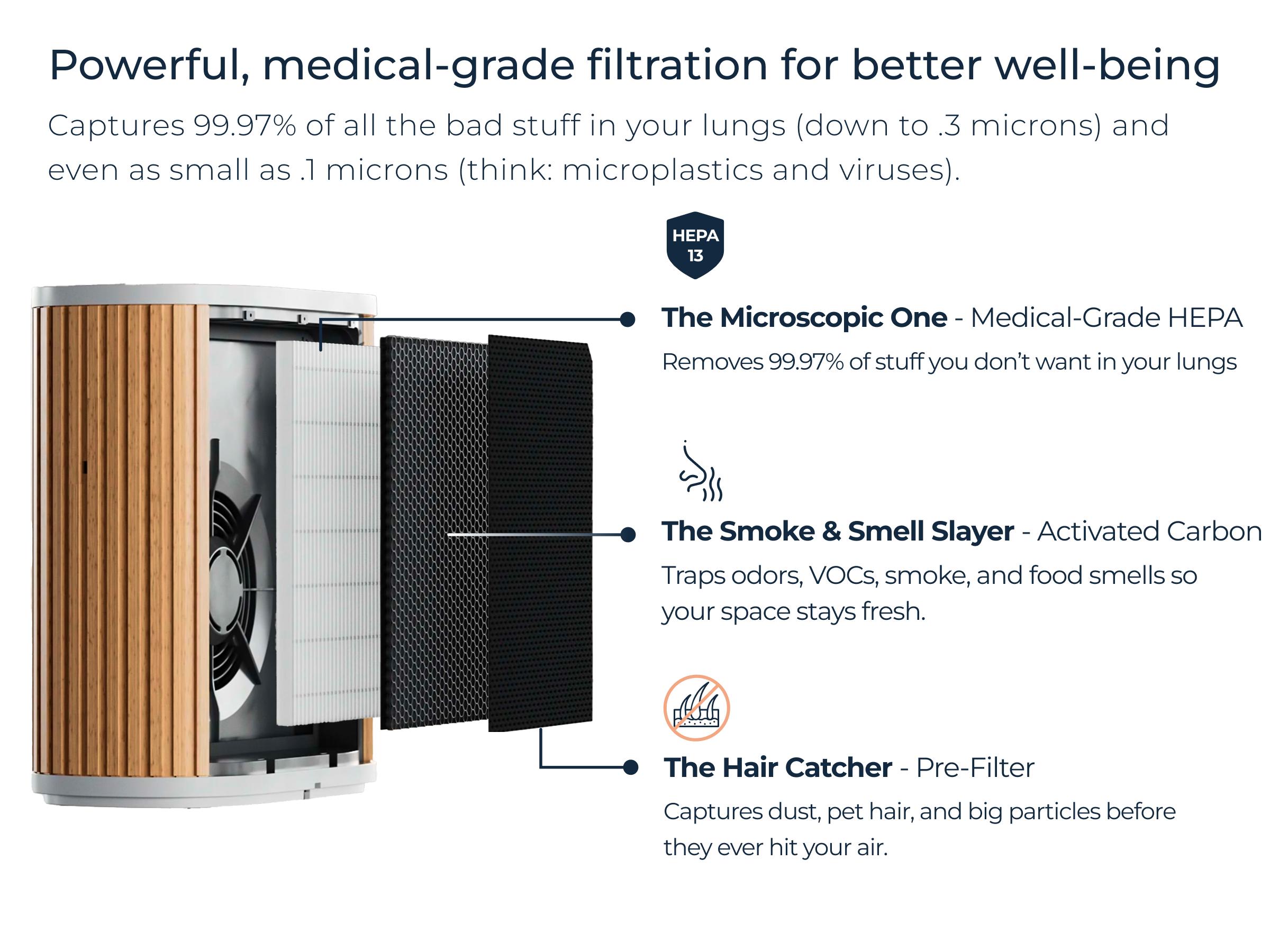 DTC_1_-_Powerful_Medical-Grade_7972c716-f06c-4823-ae6a-0d3d39d9ec3f.png