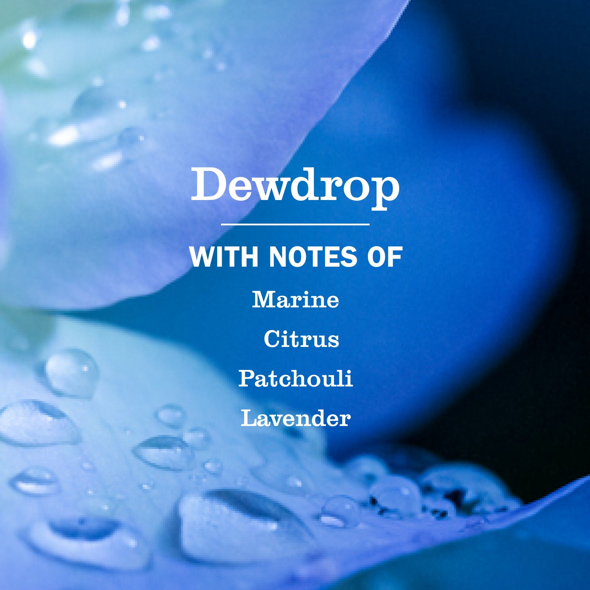 Dewdrop_Lifestyle_2.jpg