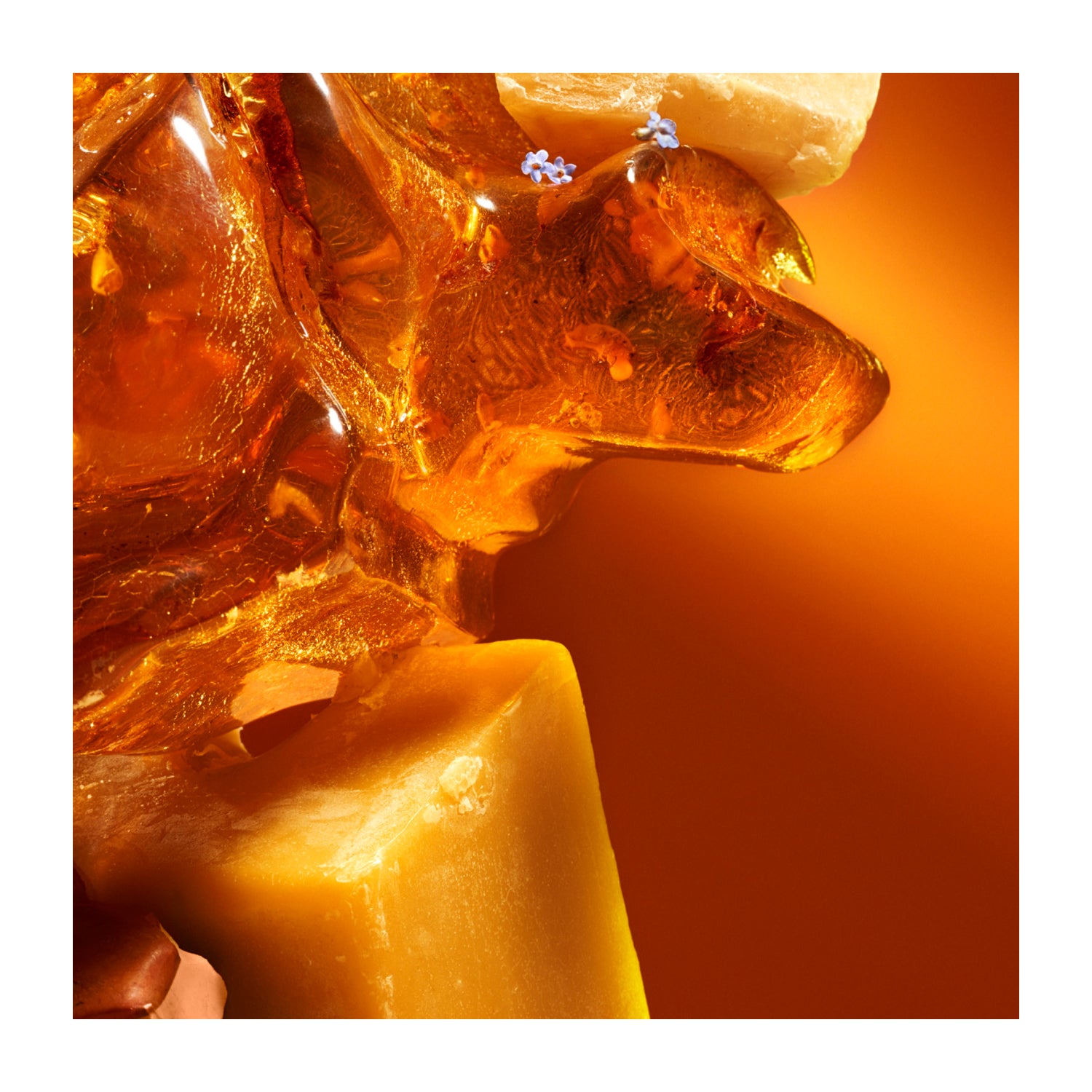 Drift_3-Pack_Wood_Starter_Kit_Amber_Teak_Pine_Lifestyle_Scent_Amber.jpg