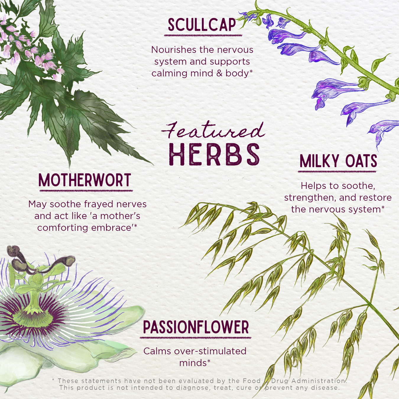 EMOPTm2v1__EmotionalAlly2oz__ft-herbs_00.png