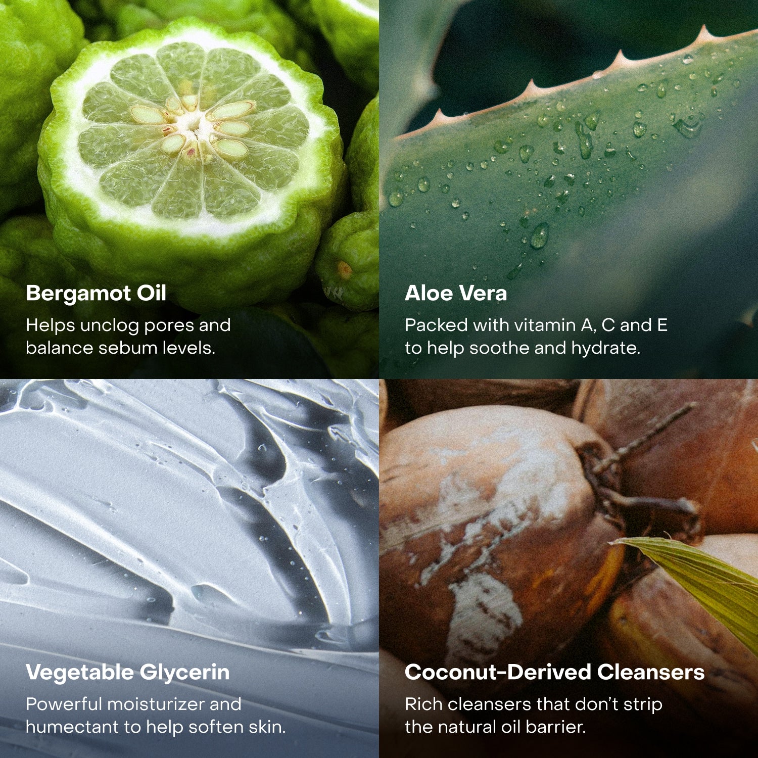 Everist_TheBodyWashConcentrate_Lifestyle5.jpg