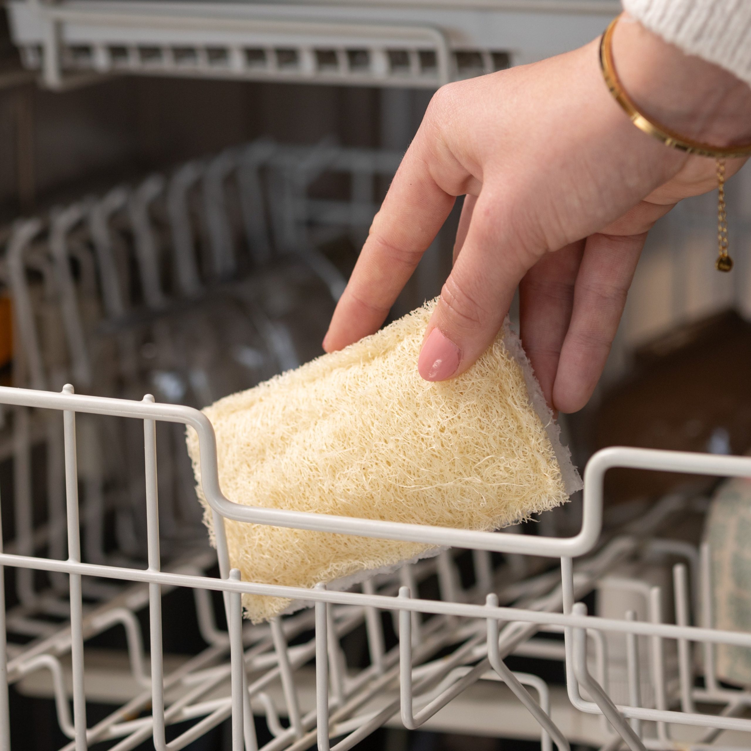 FC25215DLoofahScrubberSponge2pk_LS3.jpg