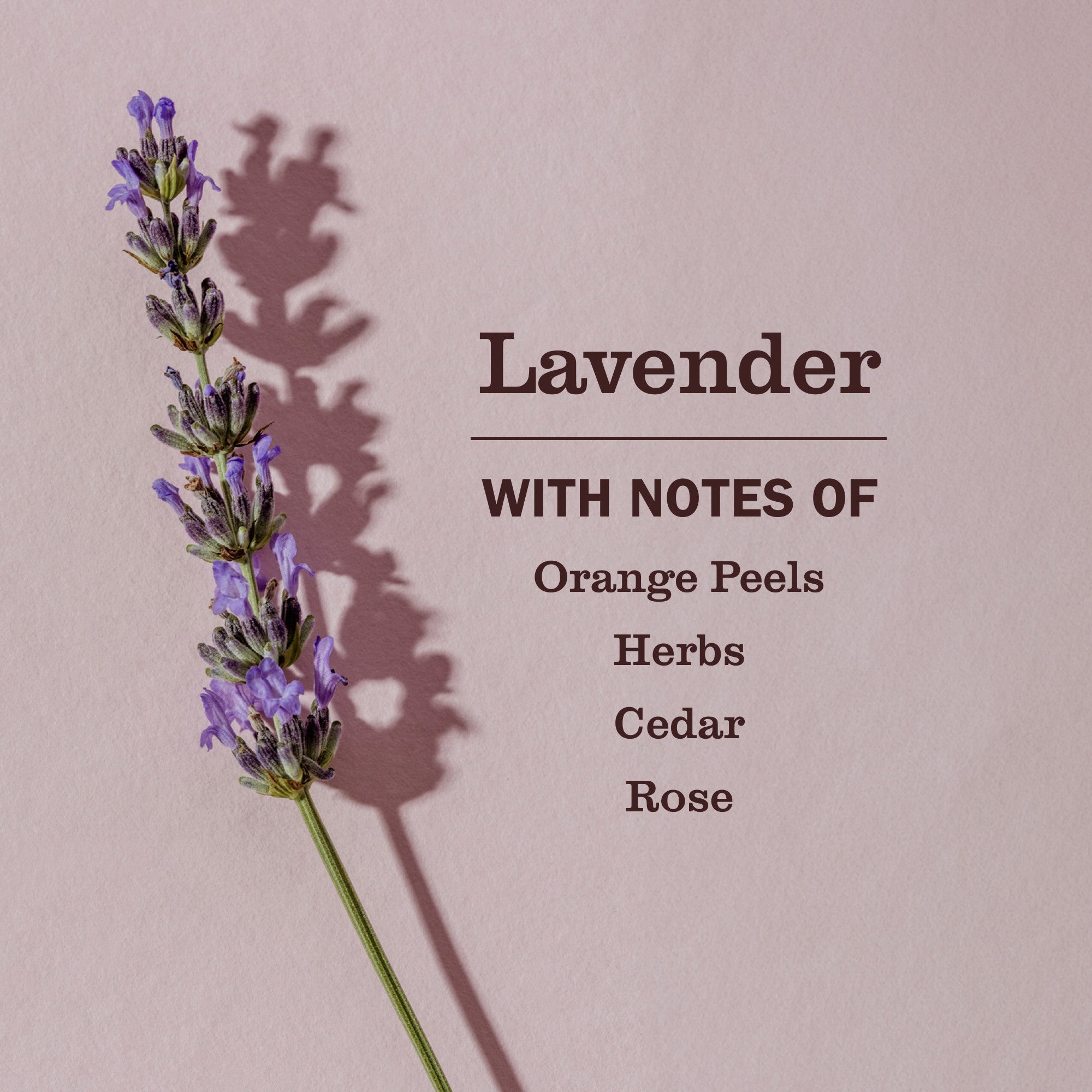 FabricFreshenerSprayLavendar5.jpg
