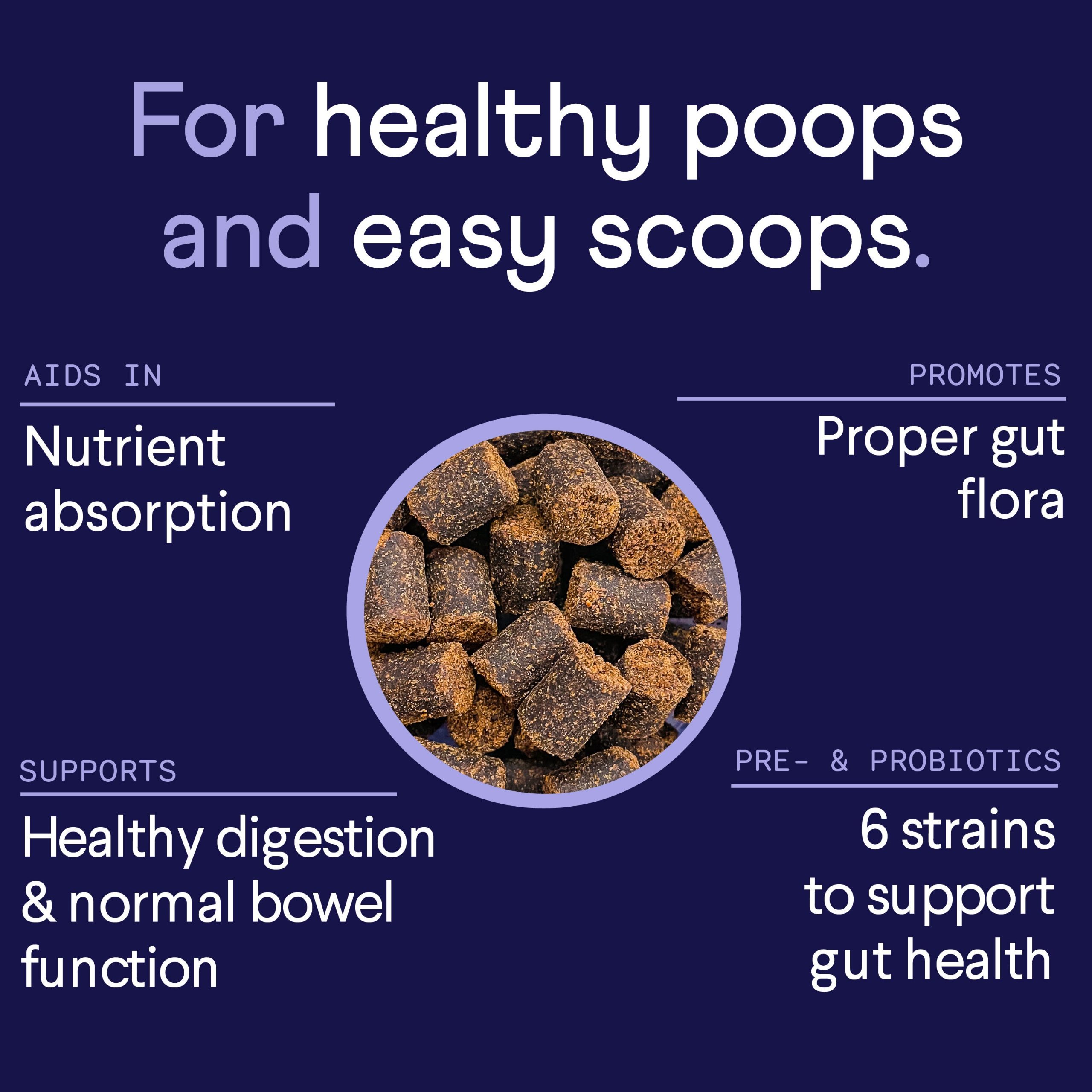 Finn_DigestiveProbiotics_Benefits.jpg