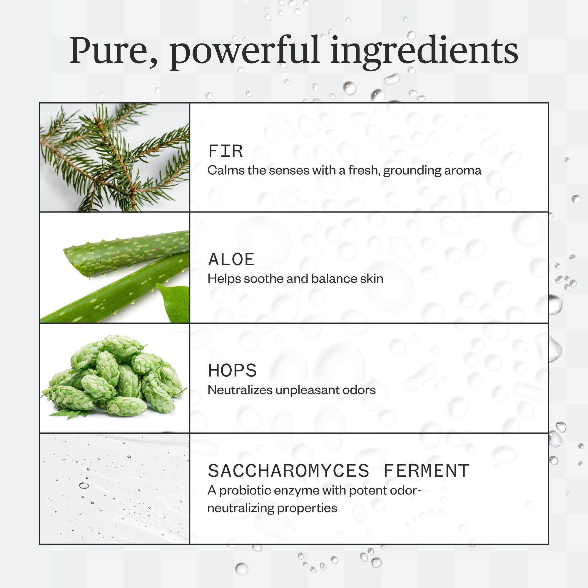 ForestFixSprayDeo_06.jpg