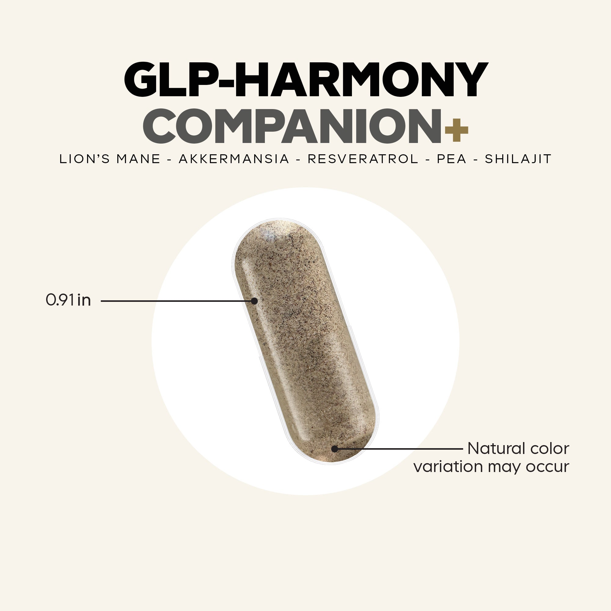 GLP-Harmony_Companion__850049609685_13.jpg