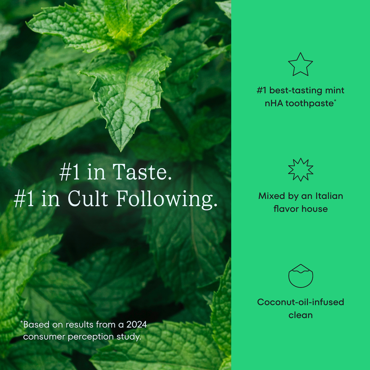 Grove_PDP_Cocoshine_4oz_FlavorProfile_DelightfulMint_2000x2000px.png