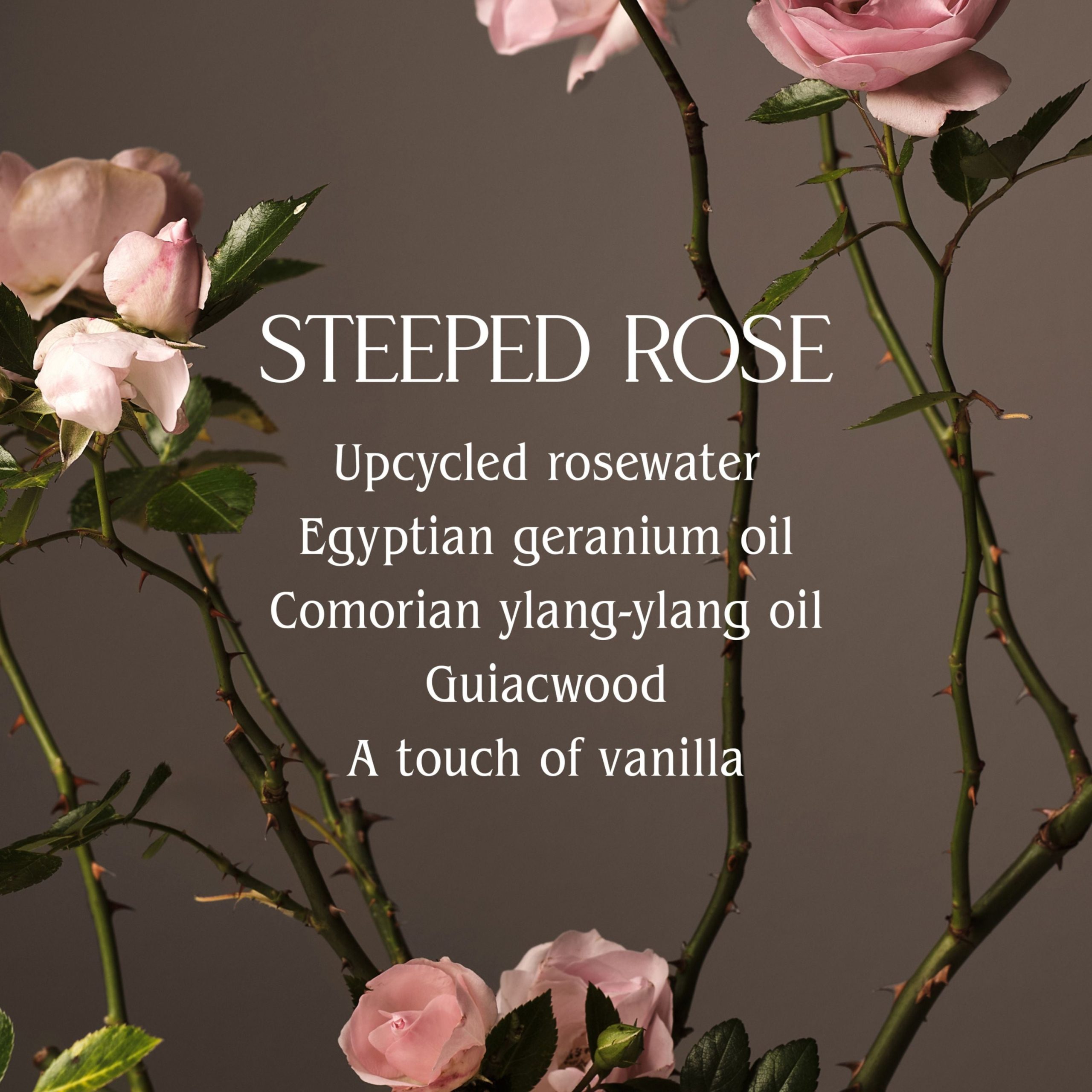 HOMECOURT_HAND_WASH_STEEPED_ROSE_2.jpg