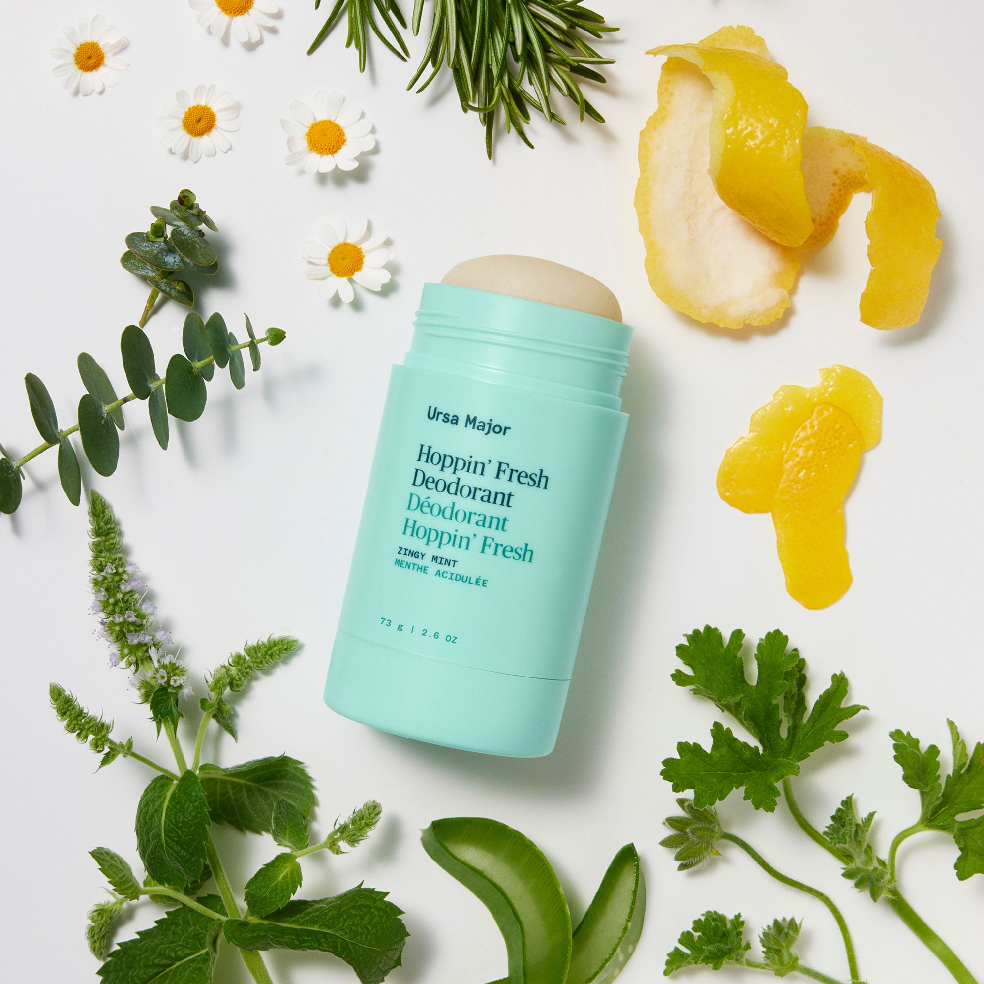 Hoppin-Fresh-Deodorant-06_506ea2ad-a06f-4018-ada2-88c16defb334.jpg