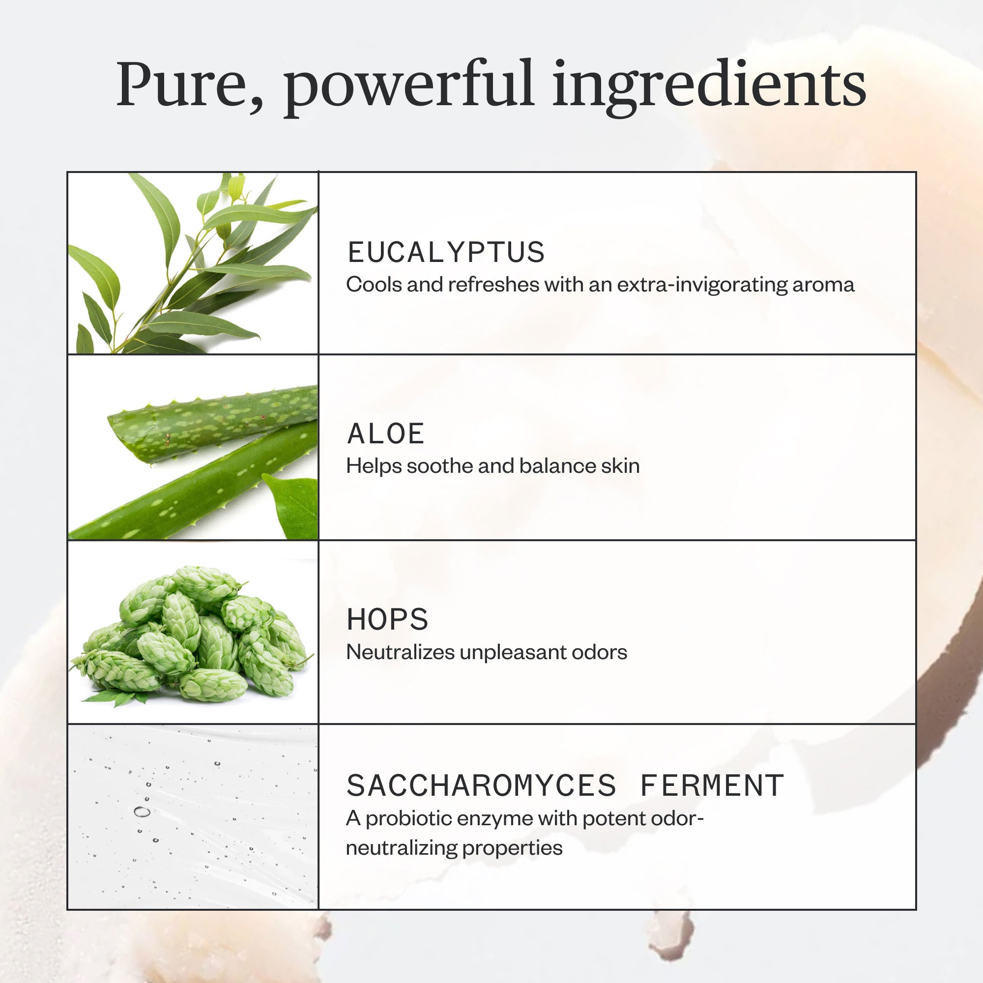 Hoppin-Fresh-Deodorant-07.jpg