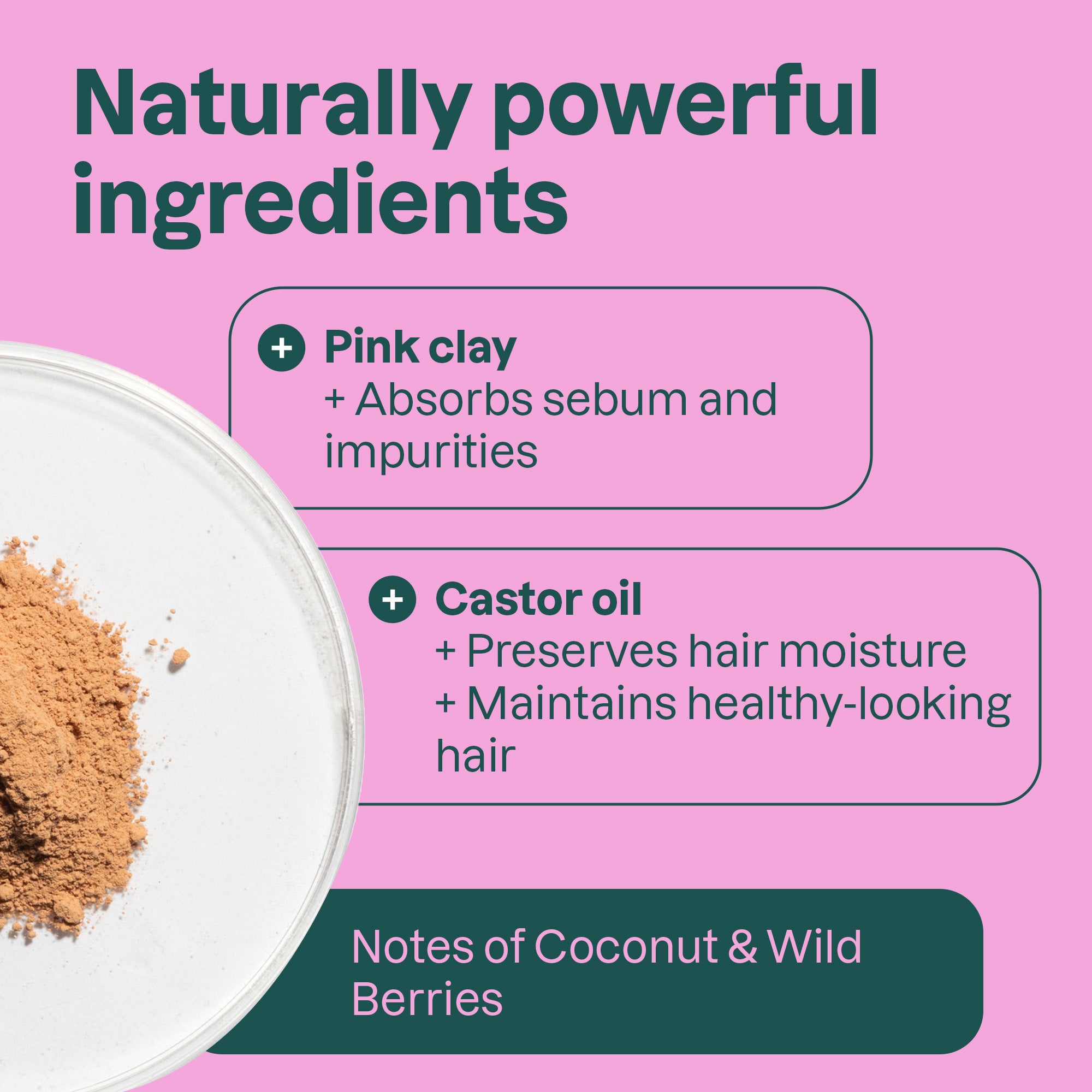 Ingredients-Coco_Berries_11807.jpg