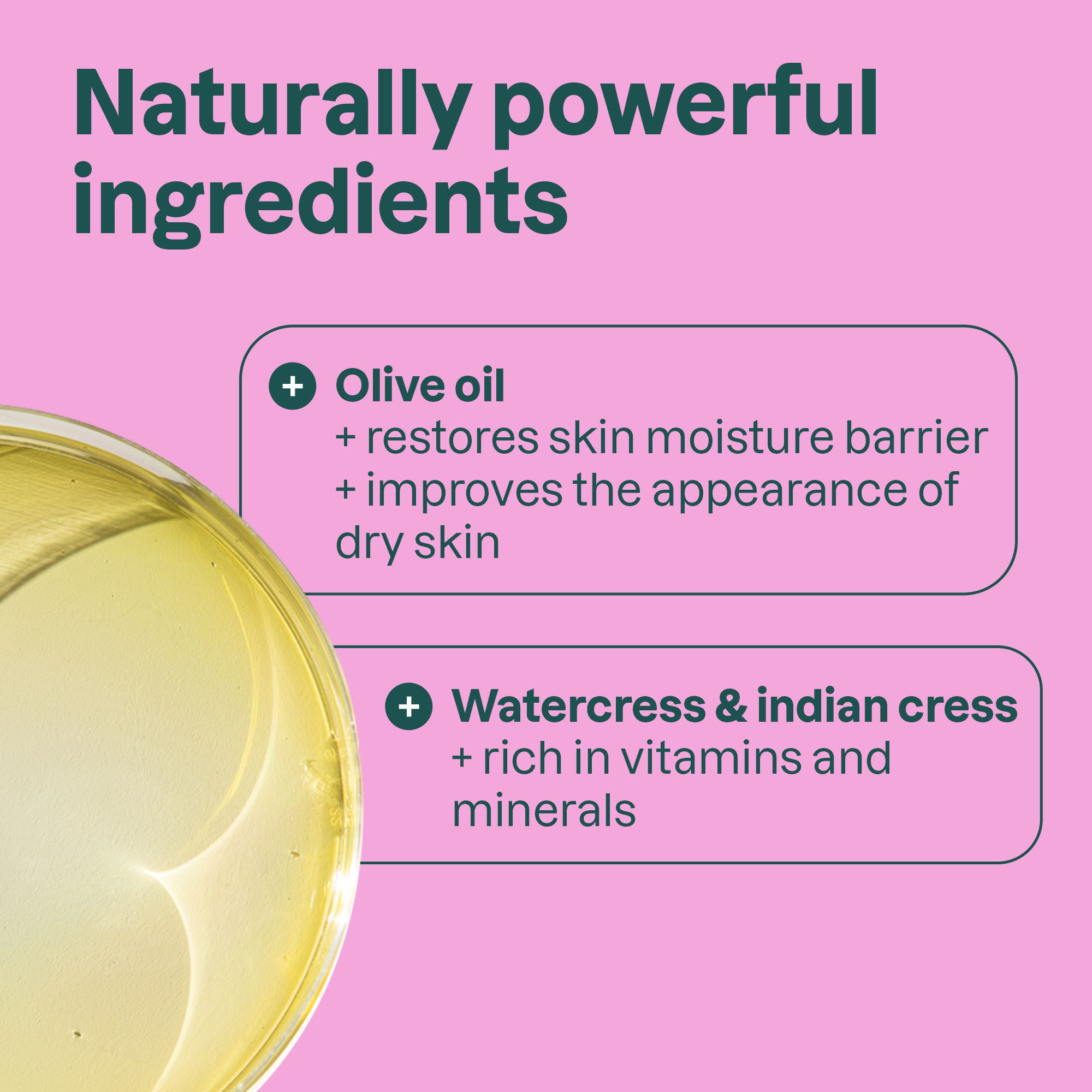 Ingredients-Coco_Berries_11837.jpg