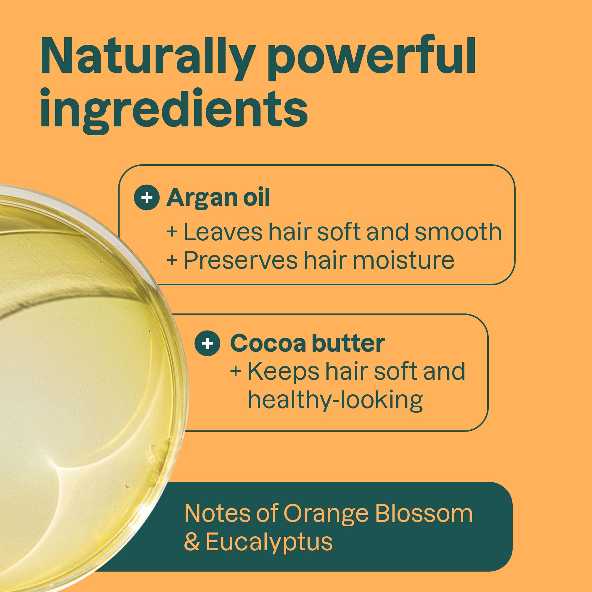 Ingredients-Orange_11818.jpg