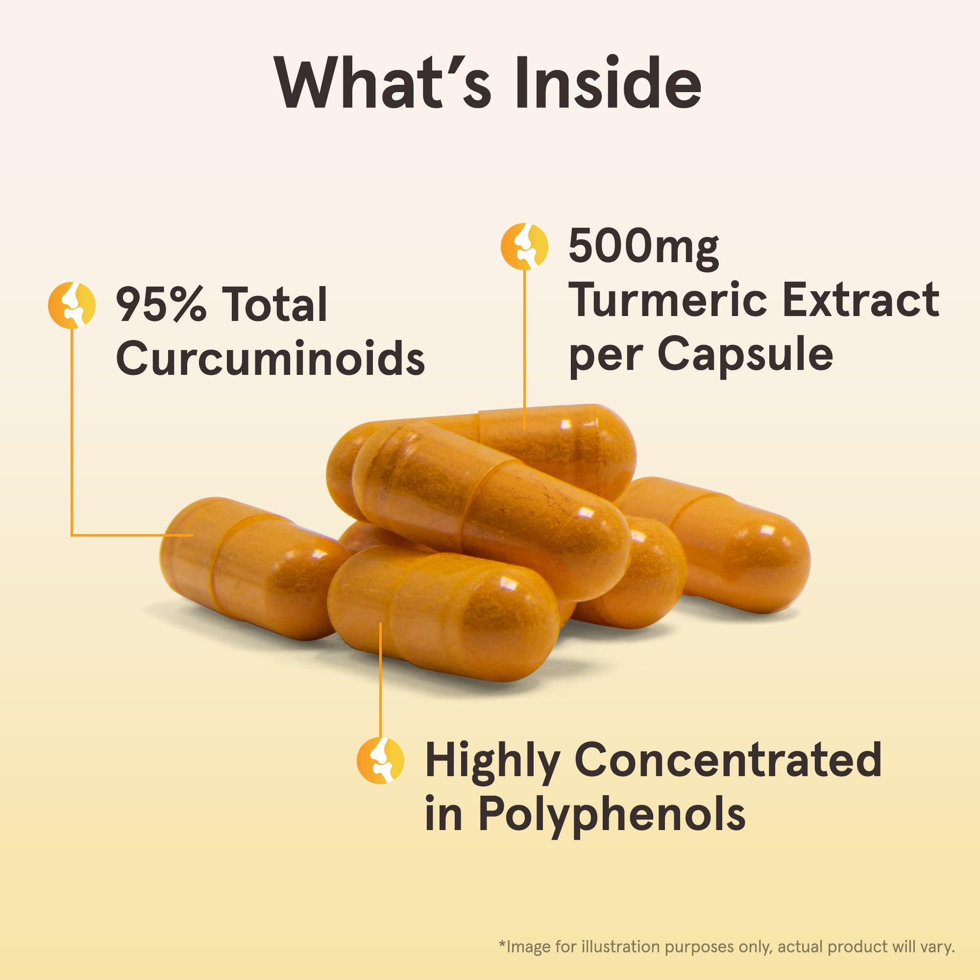 JARROW_CUR120_KeyIngredients.jpg