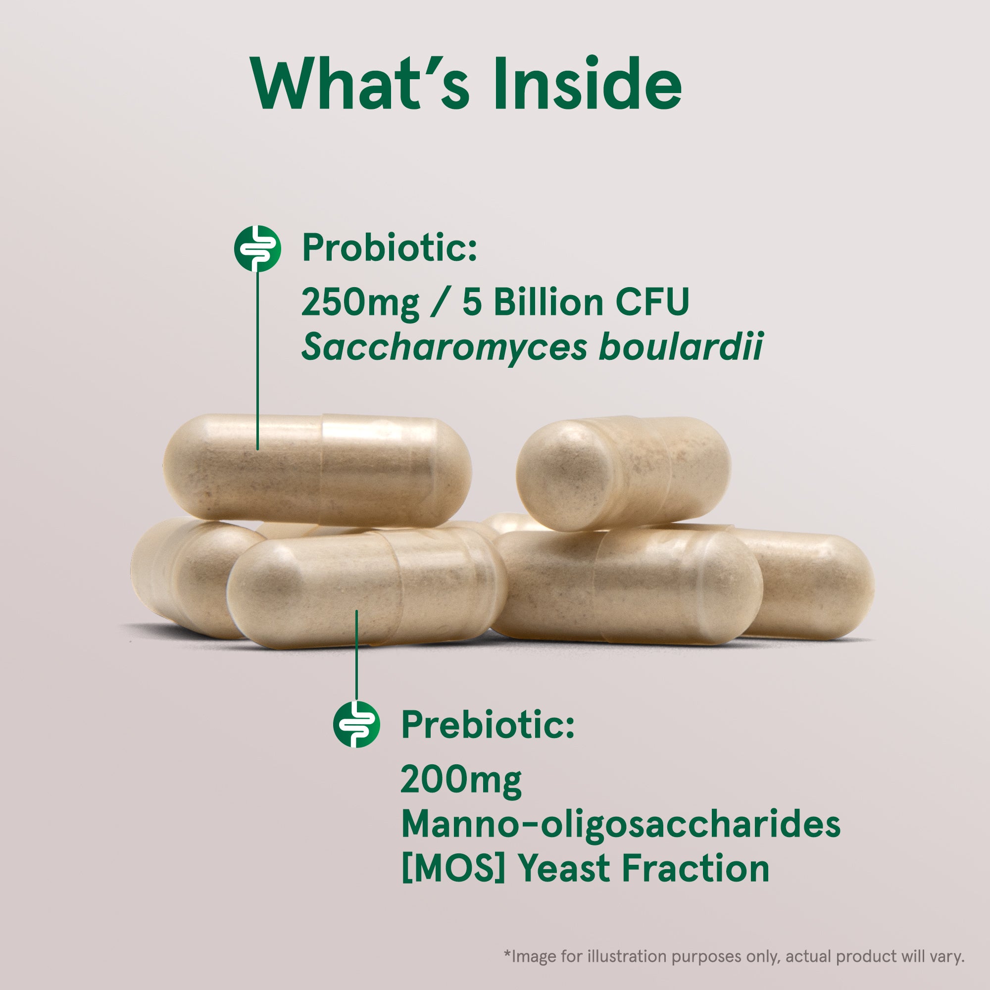 JARROW_SAC180_KeyIngredients.jpg