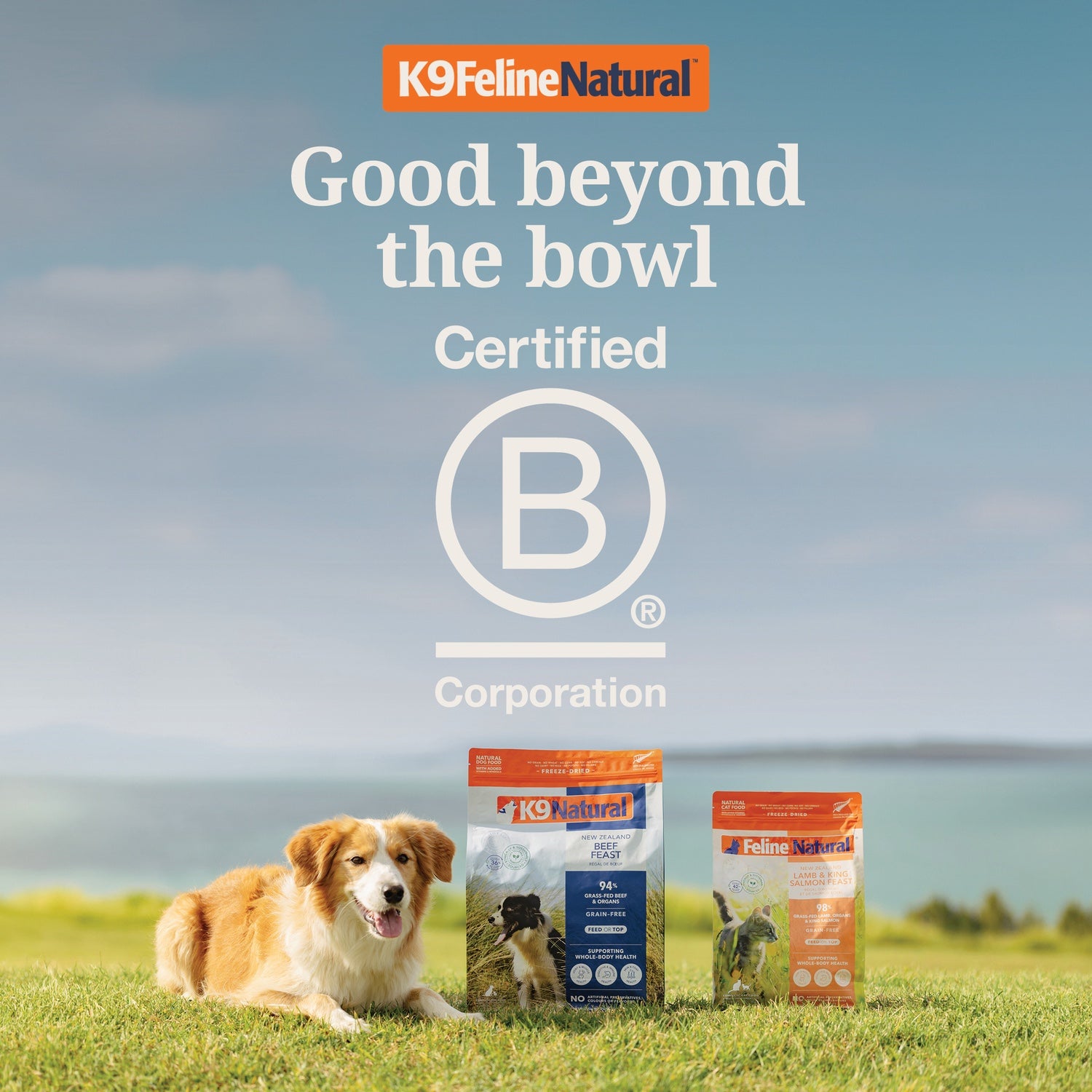 K9Feline-Bcorp-Asset_11_1x1_Slide_6_large_b84d52c6-d250-4ba5-a80e-a98ba79570aa.jpg