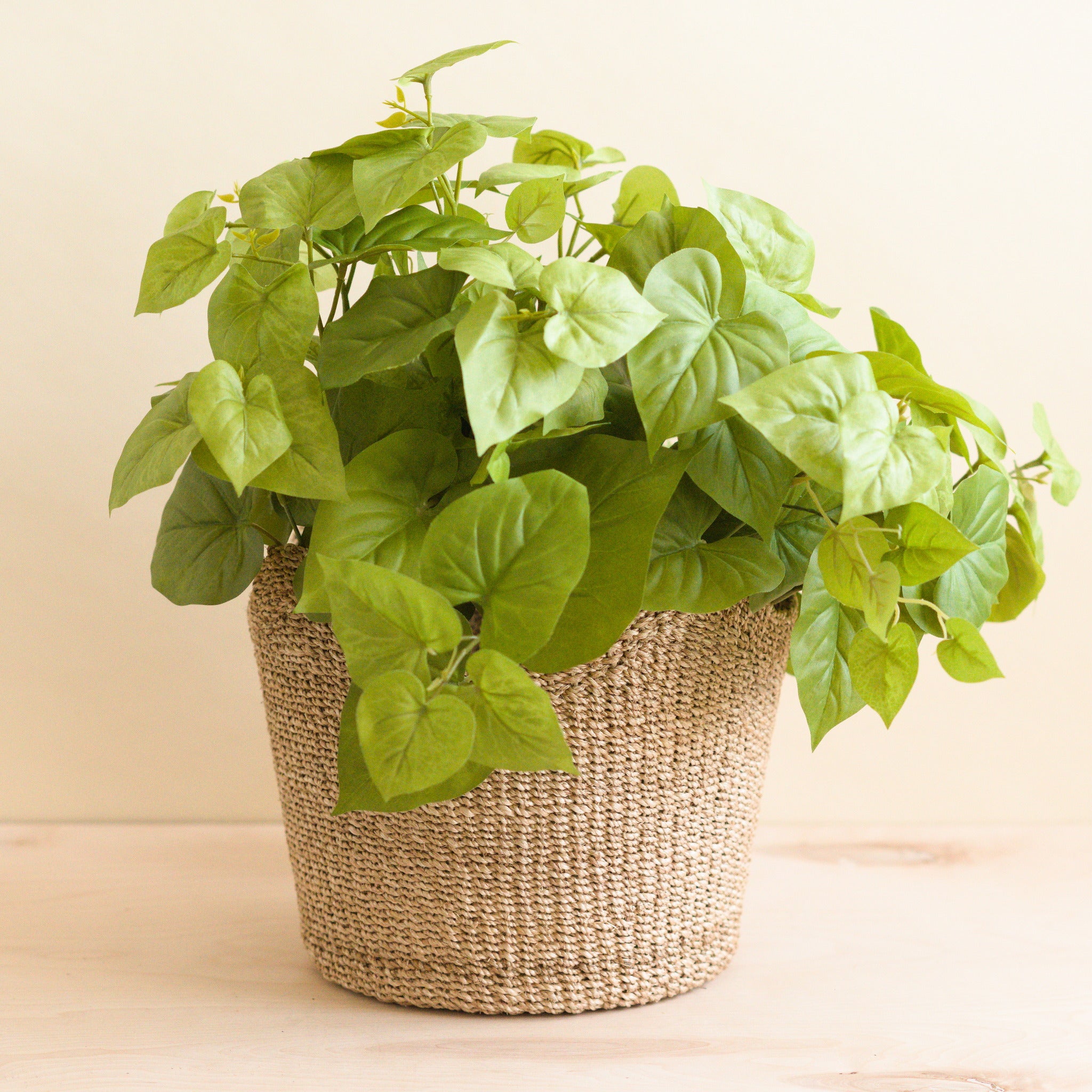 LIKHA_80020_Abaca-Scallop-Basket_Natural-3.jpg