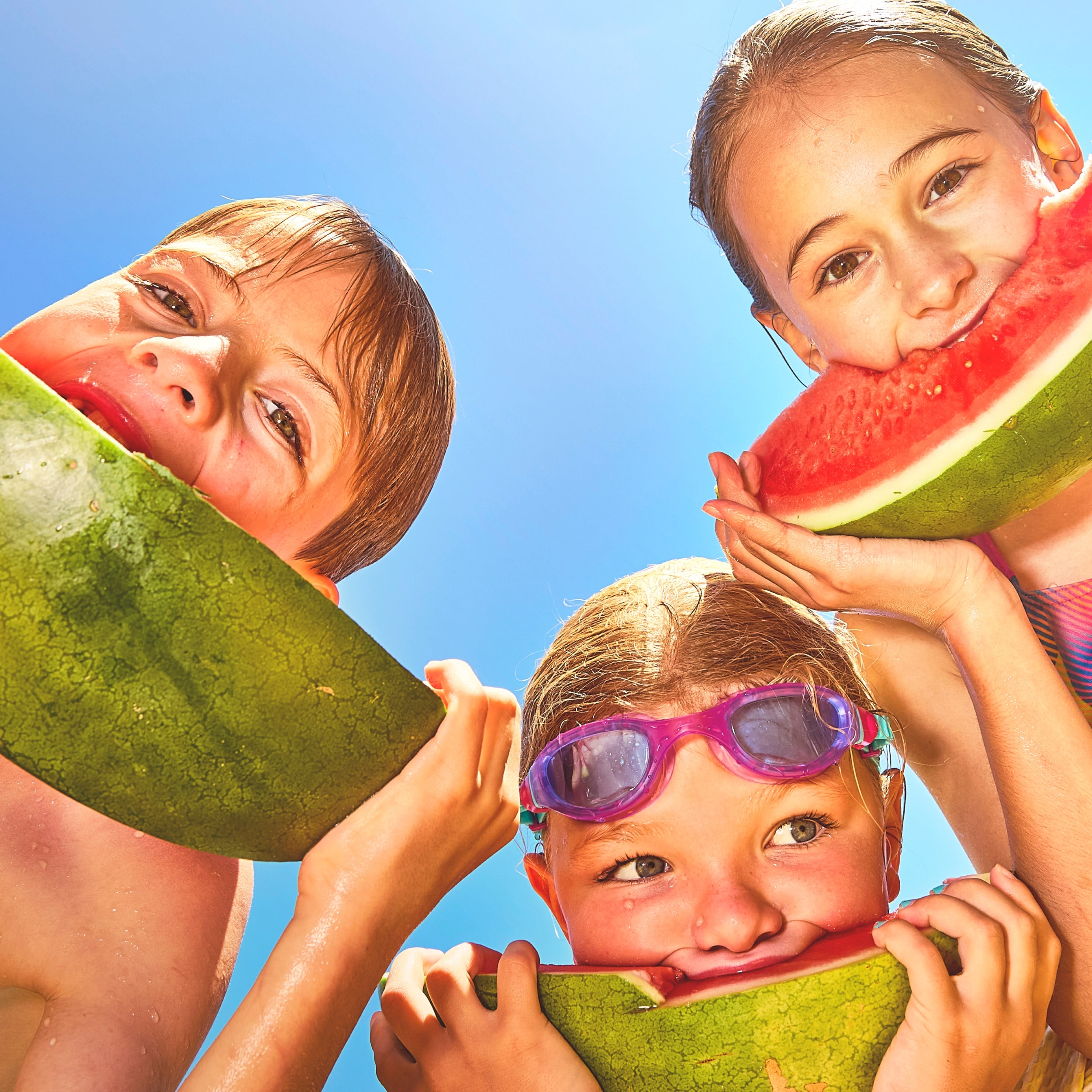 Mimikai_watermelon_87ddd9f0-f59f-495e-b661-8a1a20ae1103.jpg