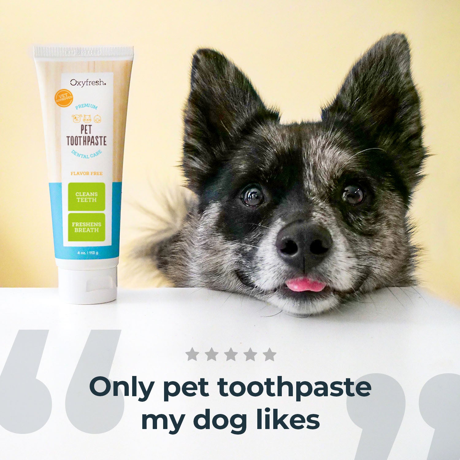 Oxyfresh_Pet_Toothpaste_Kit_4oz_lifestyle6.jpg