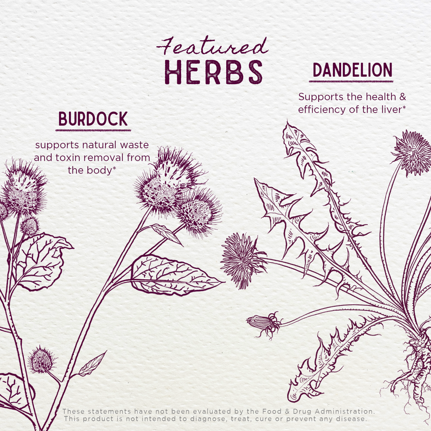 PARPTm2v1__PartyPrep2oz__ft-herbs_00.png