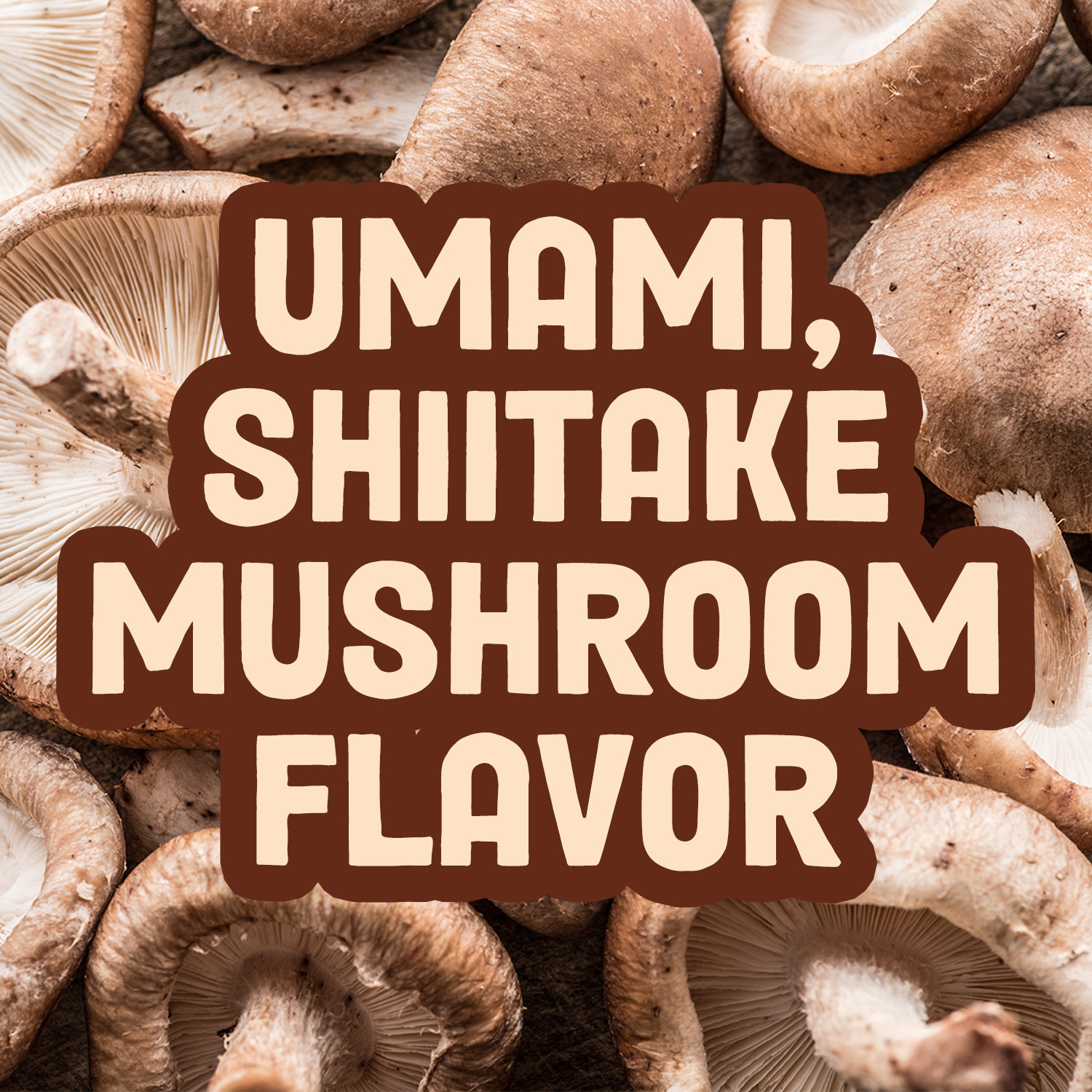 Pan_s_MushroomJerky_All_LifestyleUmami_1.png