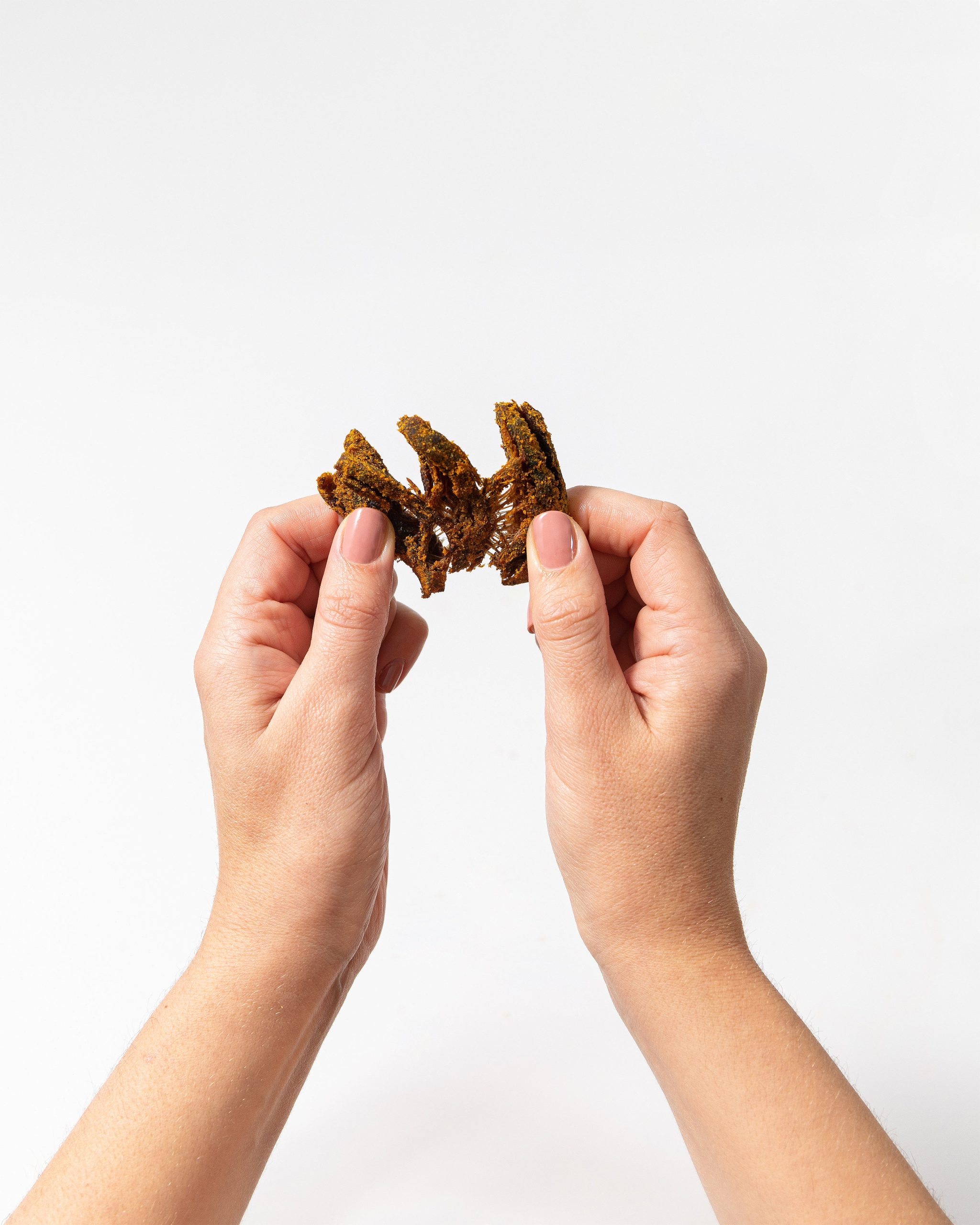 Pan_s_MushroomJerky_Curry_Texture.jpg