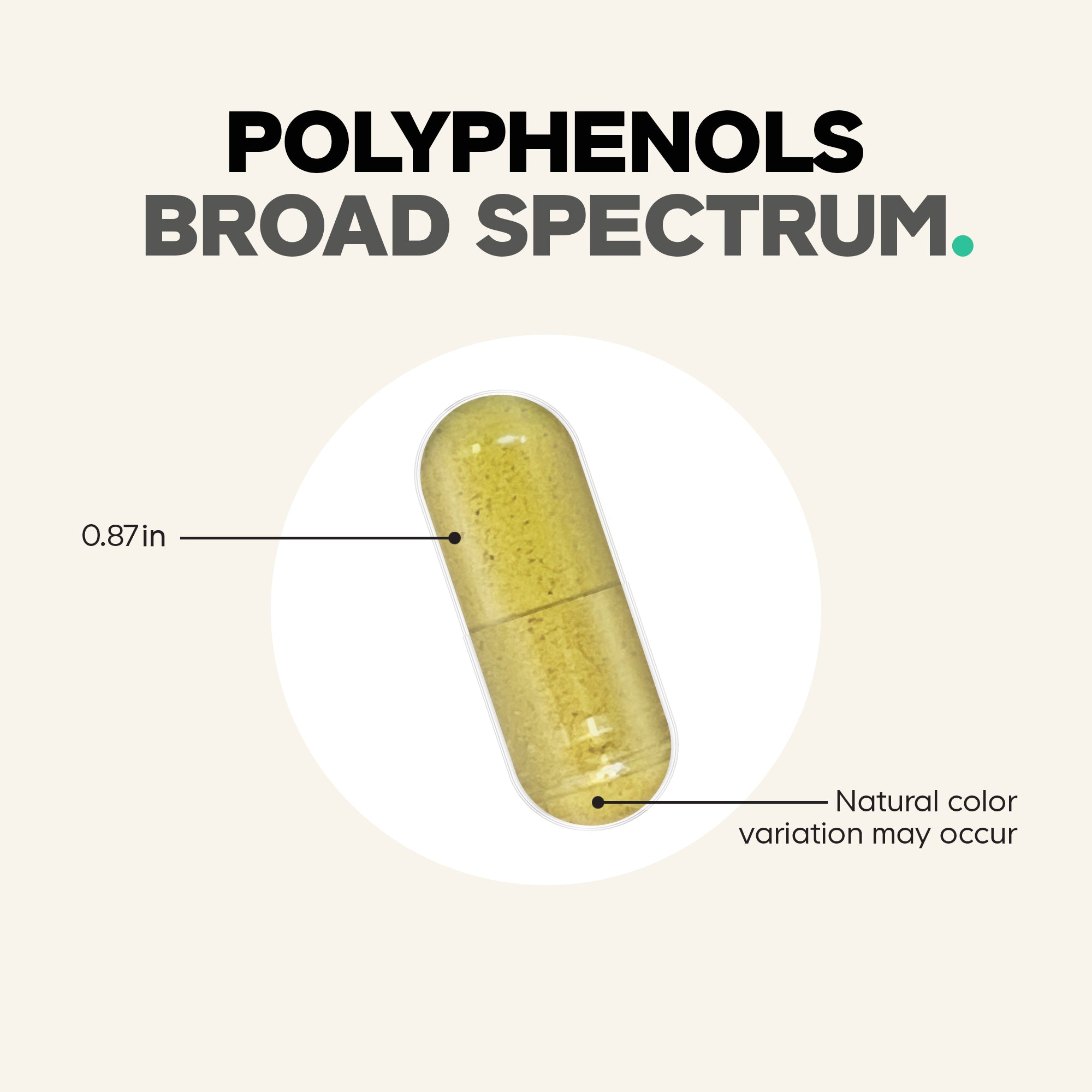 Polyphenols_853919008328_12.jpg