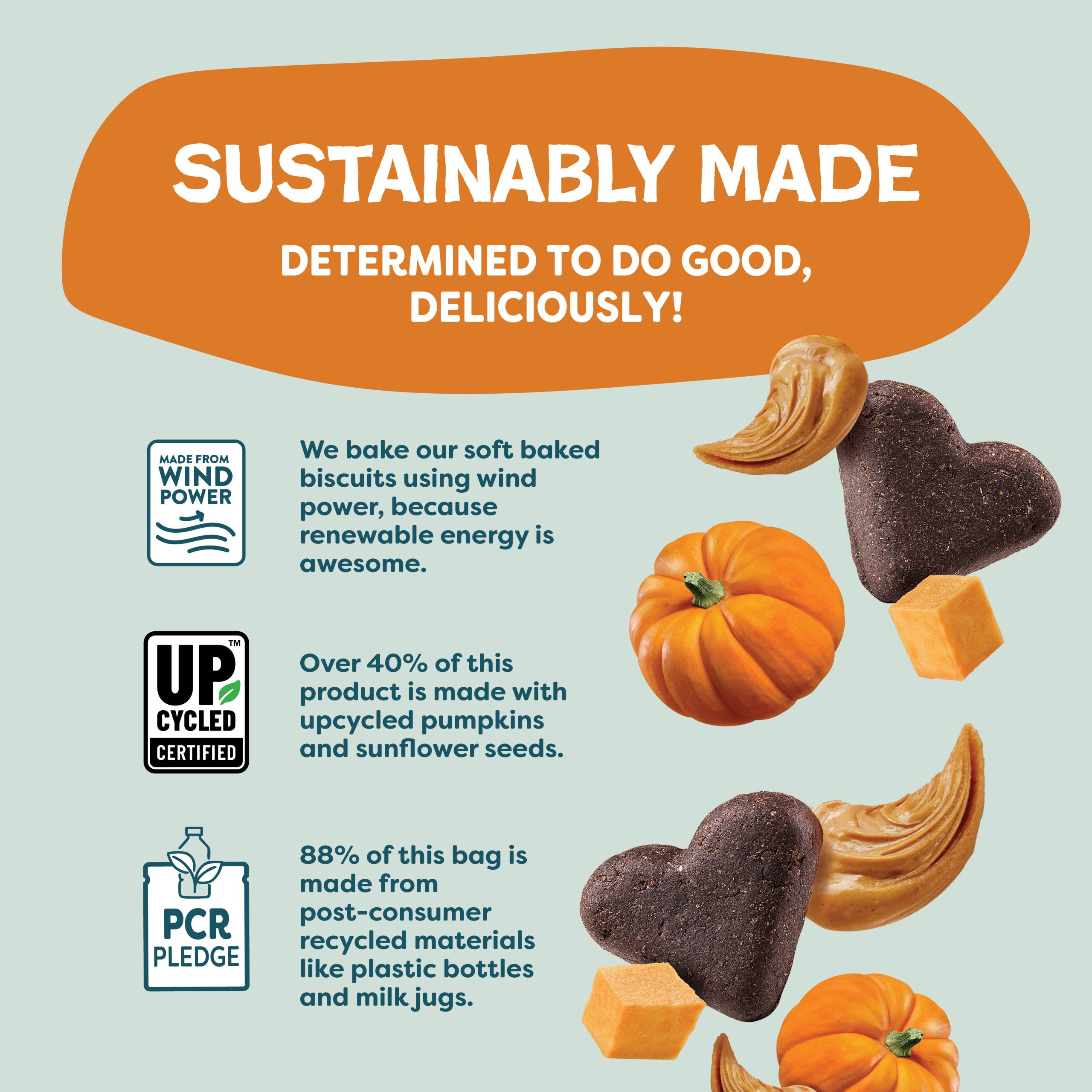 PumpkinNutPartay_6-1.jpg