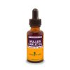 Mullein Garlic Oil