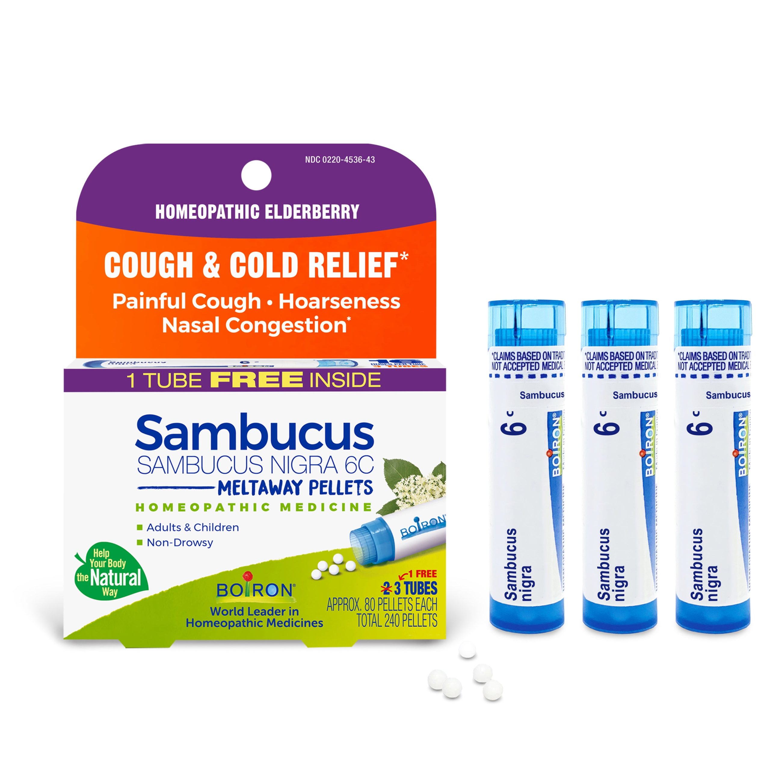 Sambucus_Nigra_6C_Bonus_Care_Pack_01.jpg