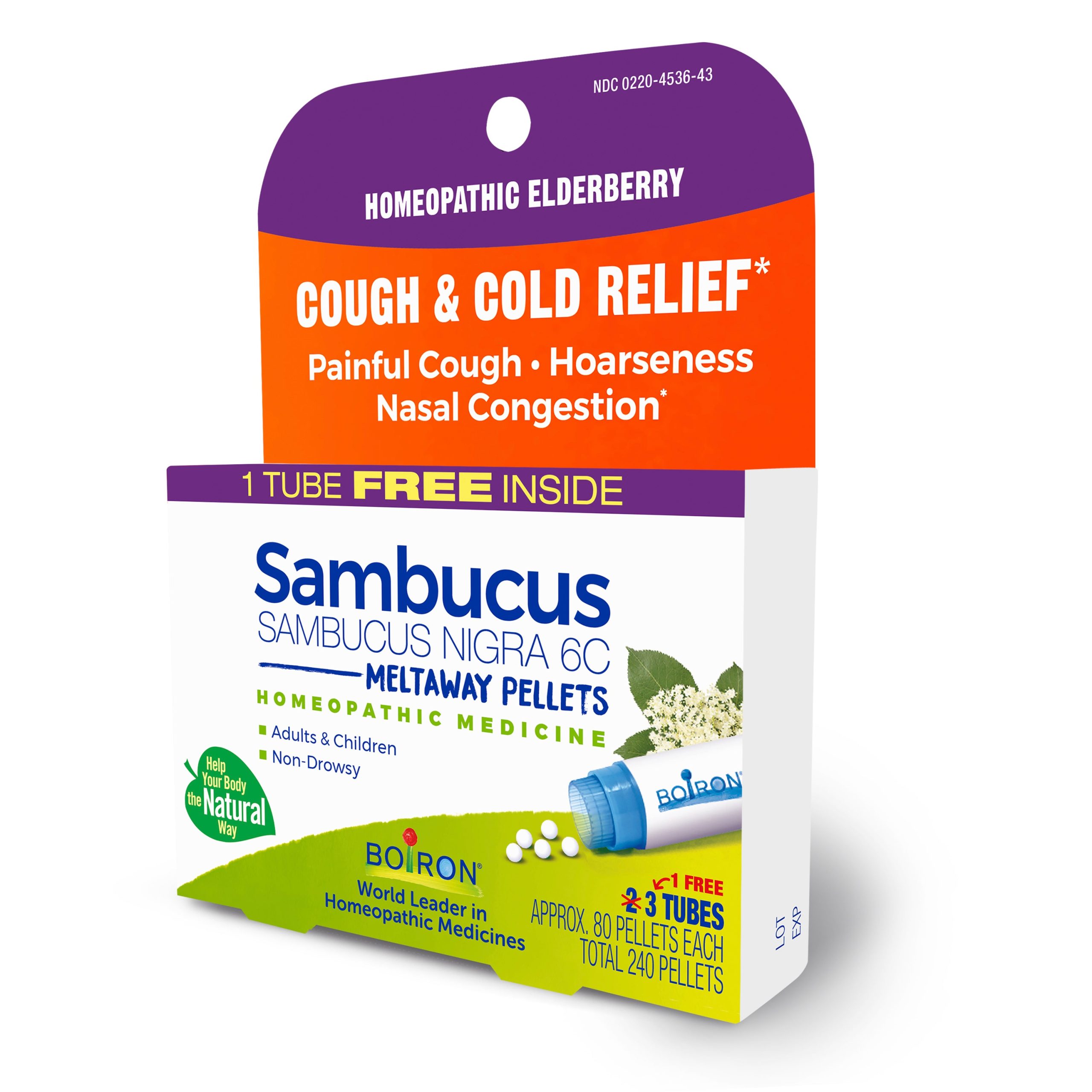 Sambucus_Nigra_6C_Bonus_Care_Pack_04.jpg