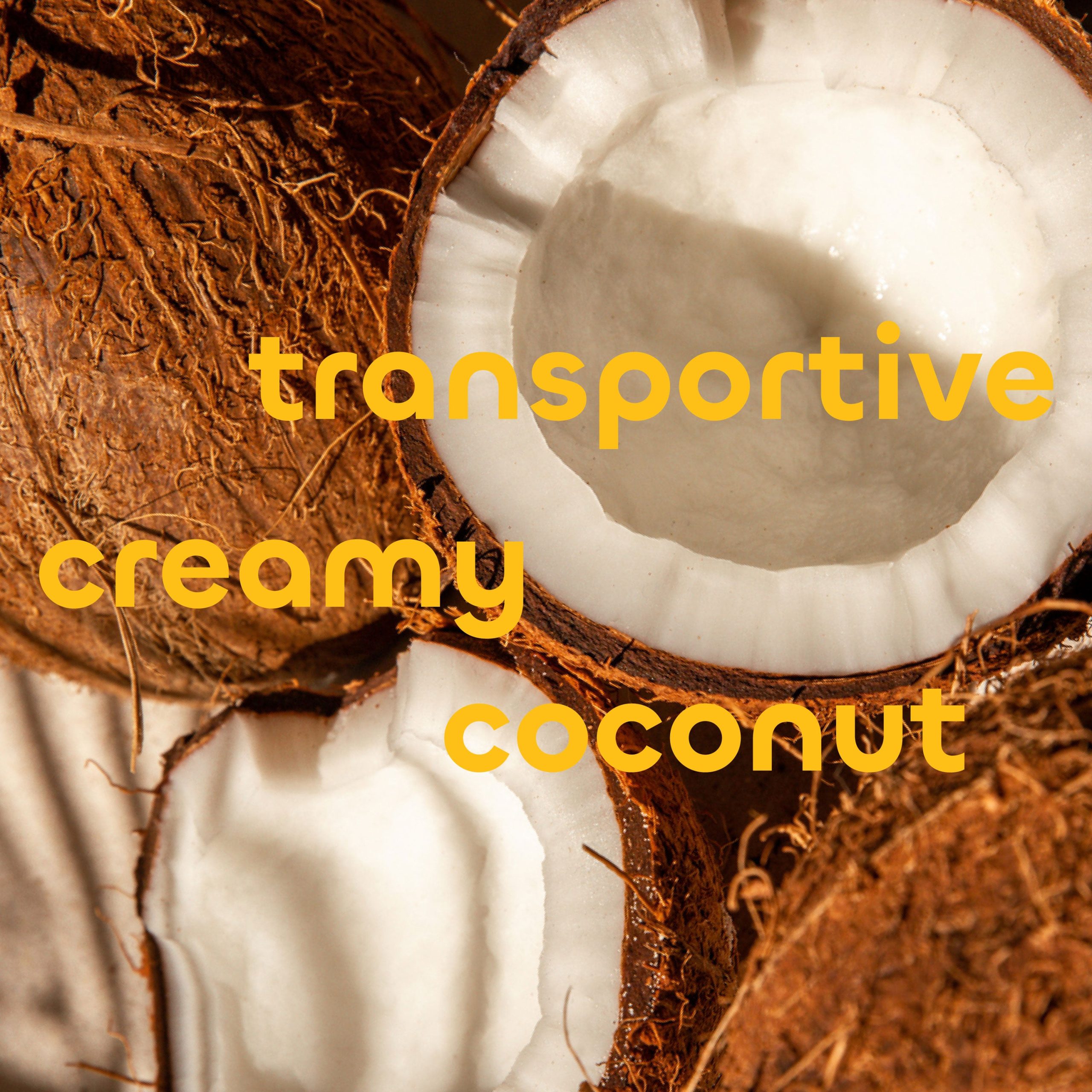 Seaweed-Bath-Co_-Value-Size-3-in-1-Wash_Creamy-Coconut_Lifestyle4.jpg