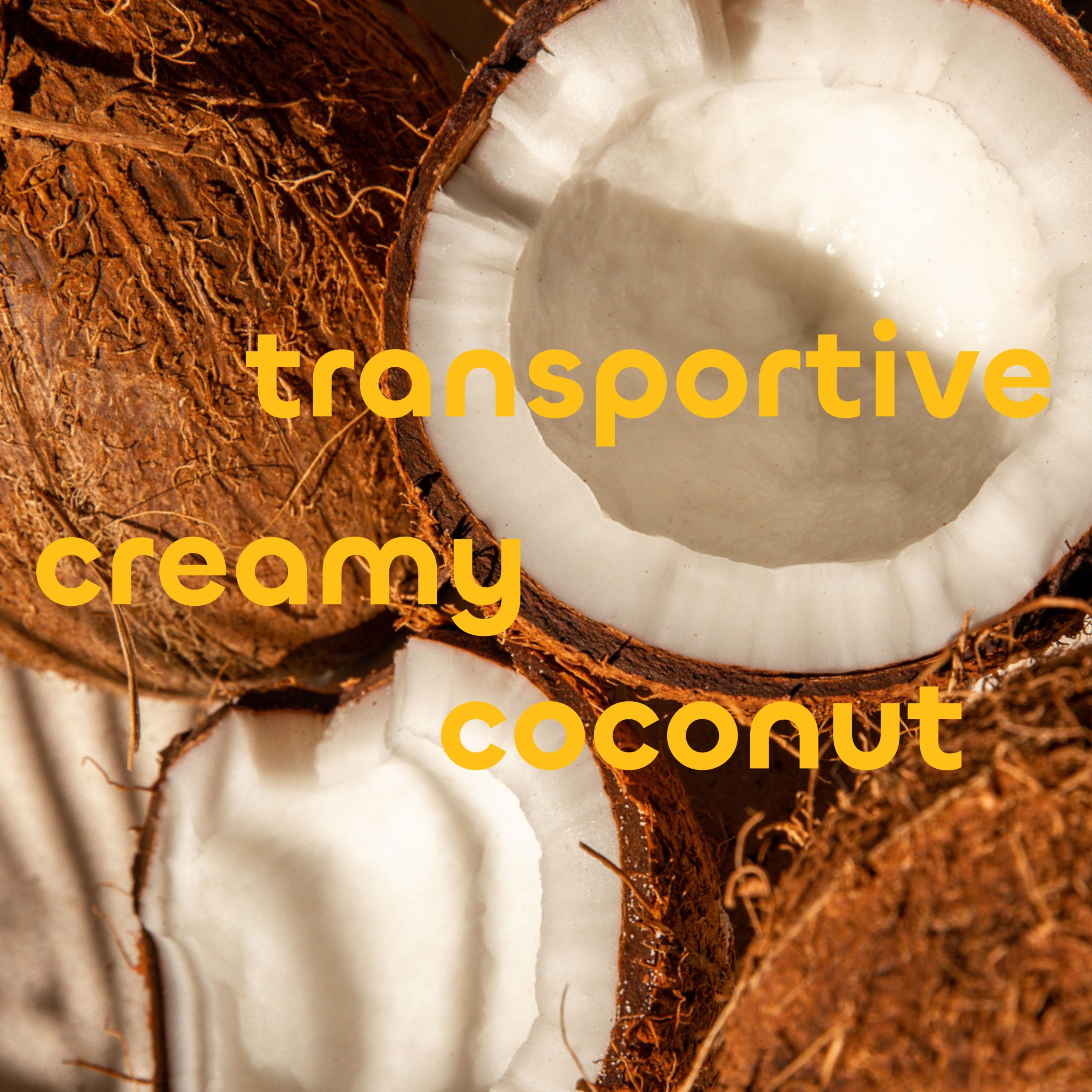 Seaweed-Bath-Co_-Value-Size-Daily-Lotion_Creamy-Coconut_Lifestyle3.jpg