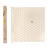 Beeswax Wrap Roll
