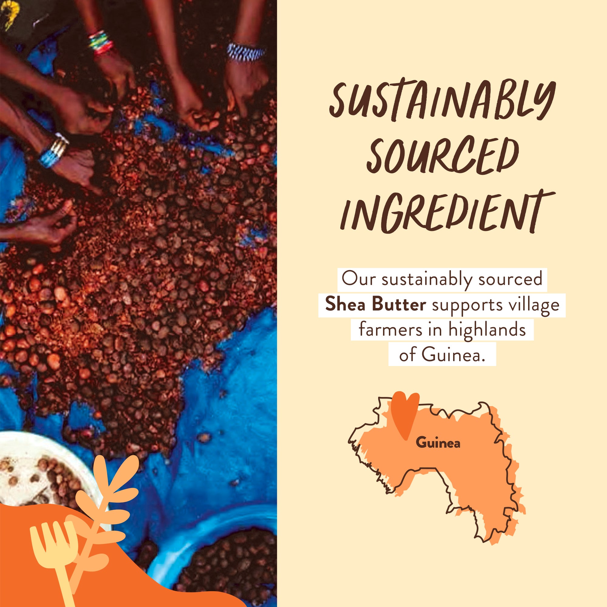 Sustainable-Ingredient-Shea-Butter.jpg